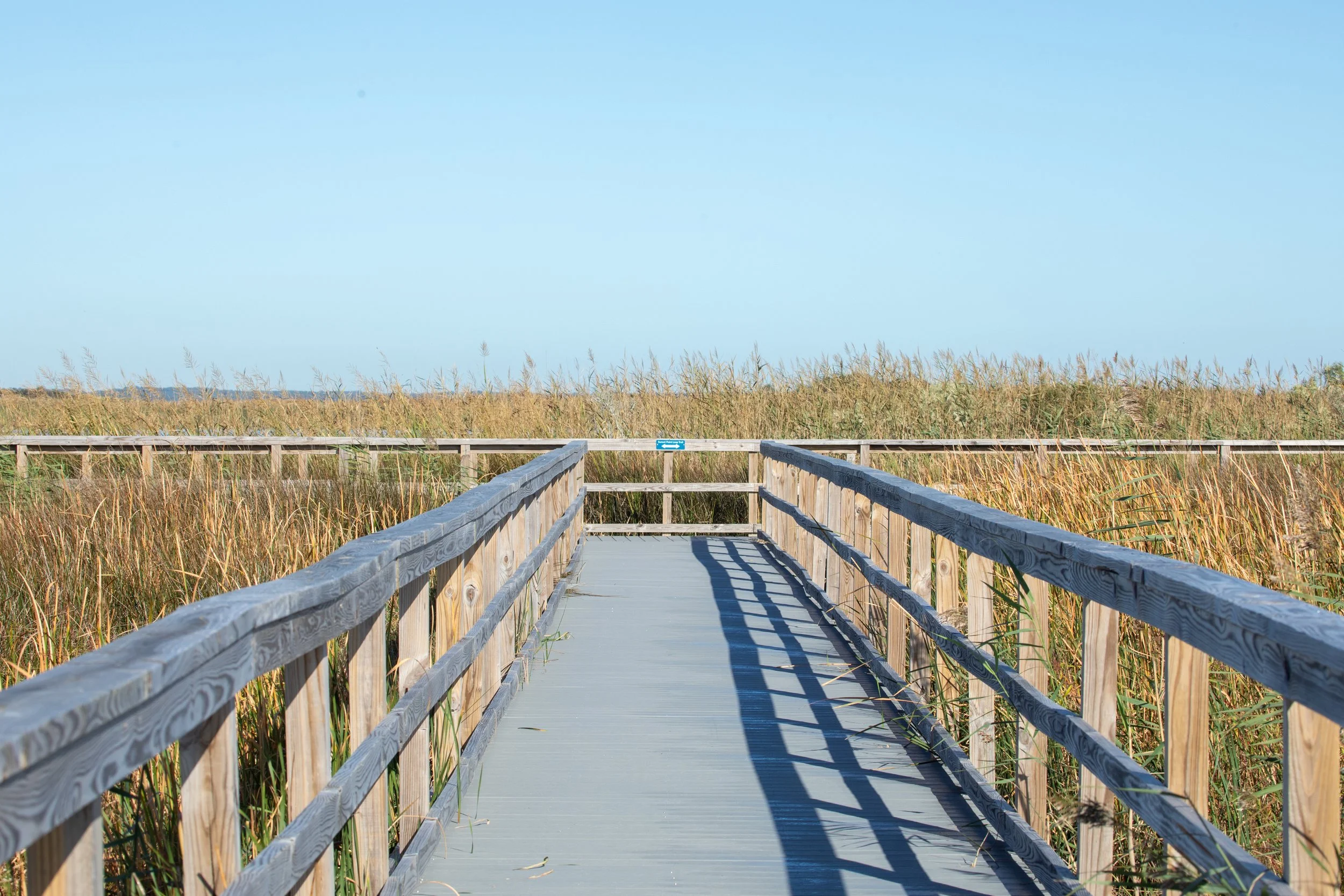 1:10 Back Bay Board Walk.jpg