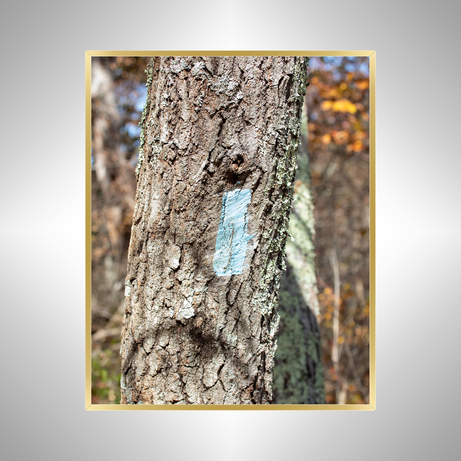 1:10 Appalachian Trail Blaze- Solg.jpg