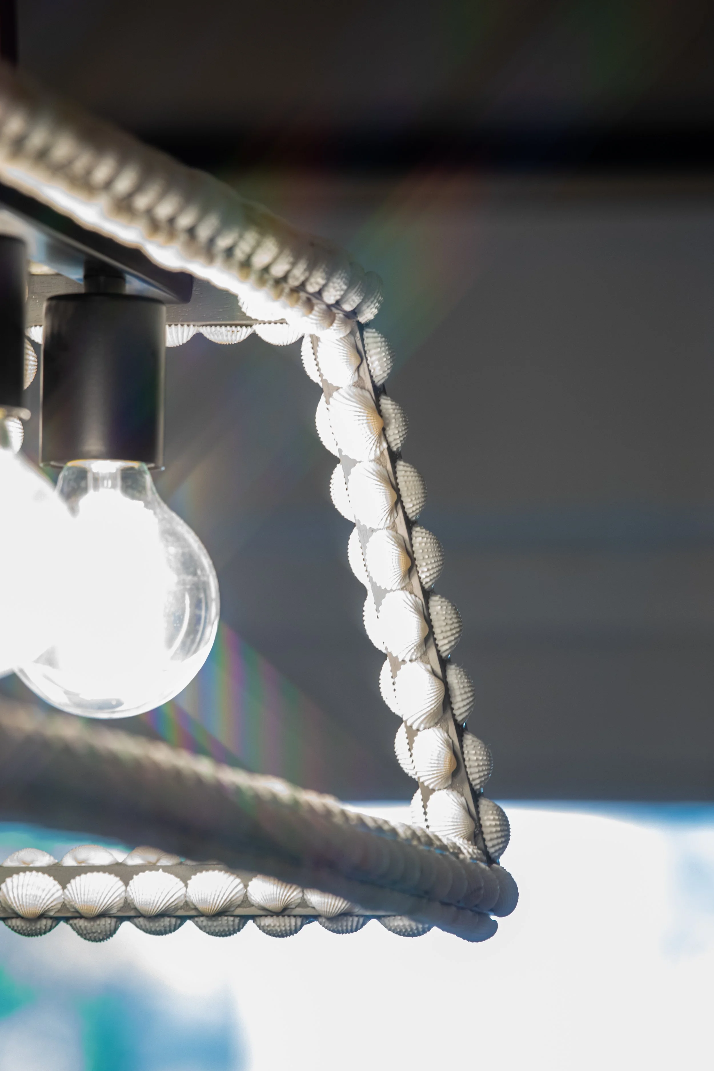 Photo & Video by Will Locke Product Photography in Norfolk, VA for Carolina Willow Shell Art. 