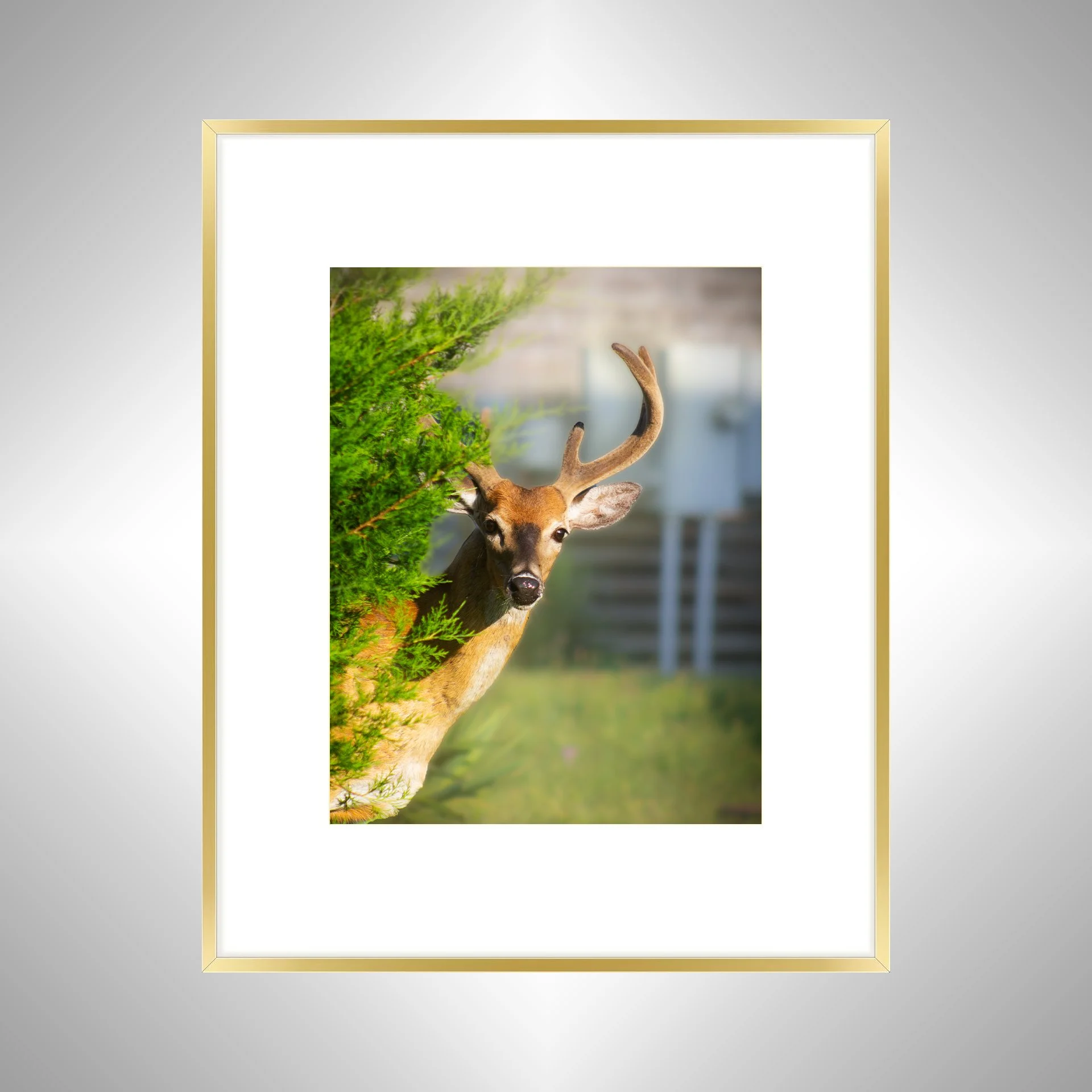 1:1 Deer Peer- Gold Metal w: Border.jpg