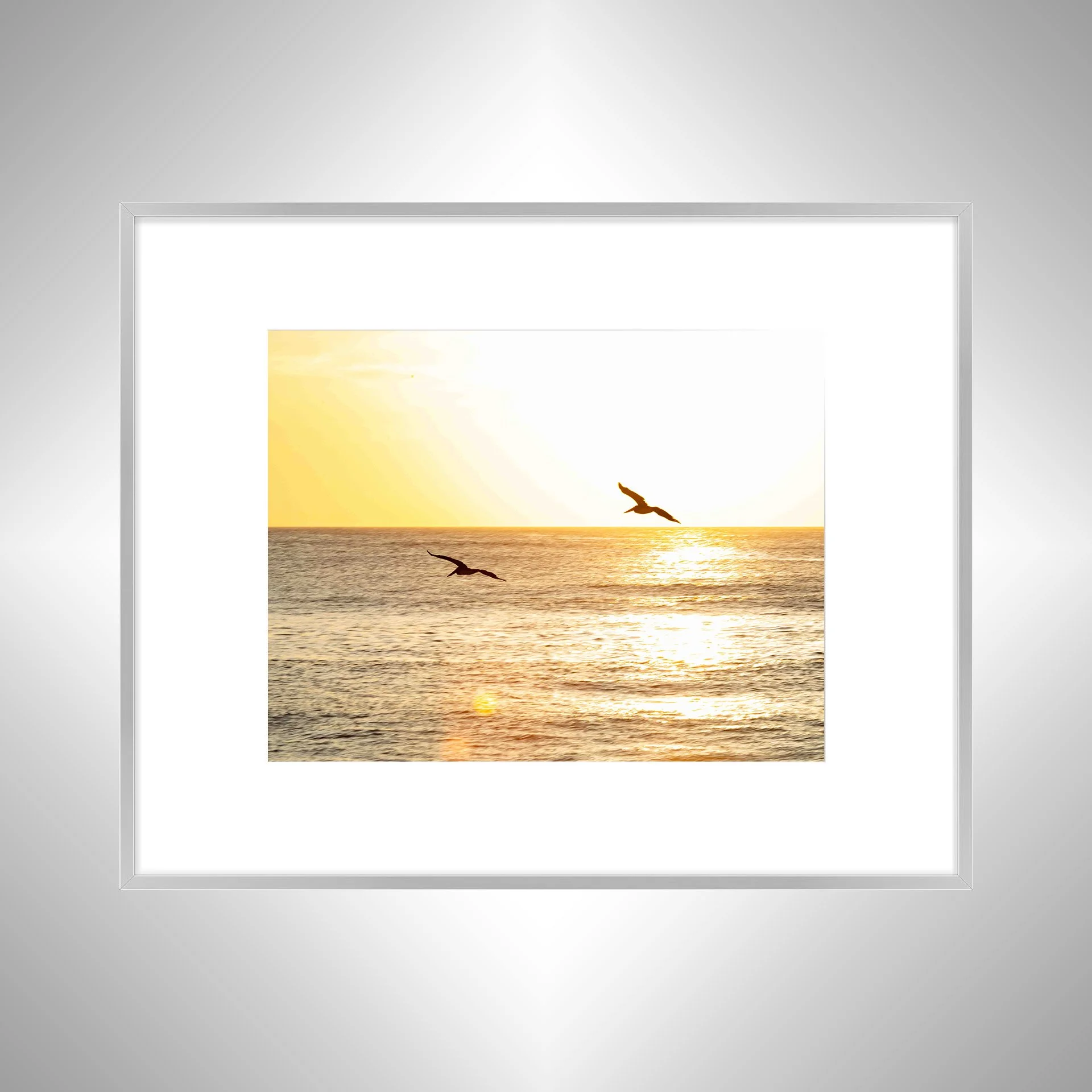 1:10 Gliding to the Sunrise- Silver w: Border.jpg