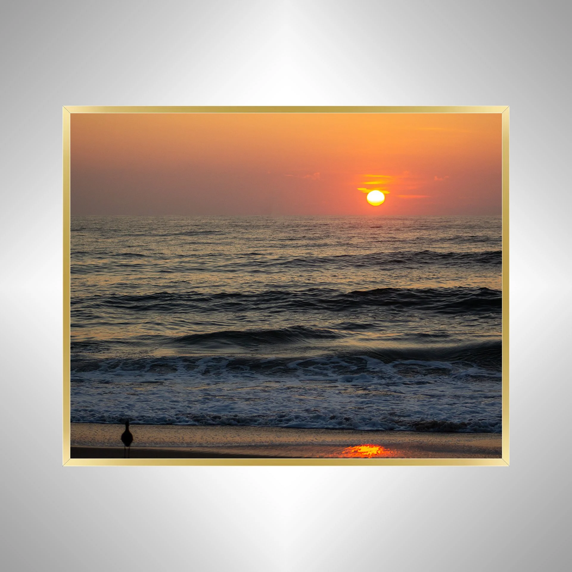 1:1 Willet Watching Sunrise- gold.jpg