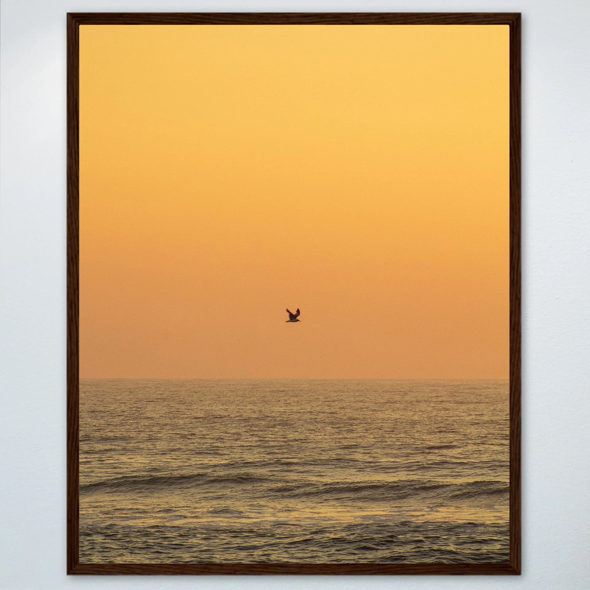 1:10 Sunrise Soaring Seagull- Wood.jpg