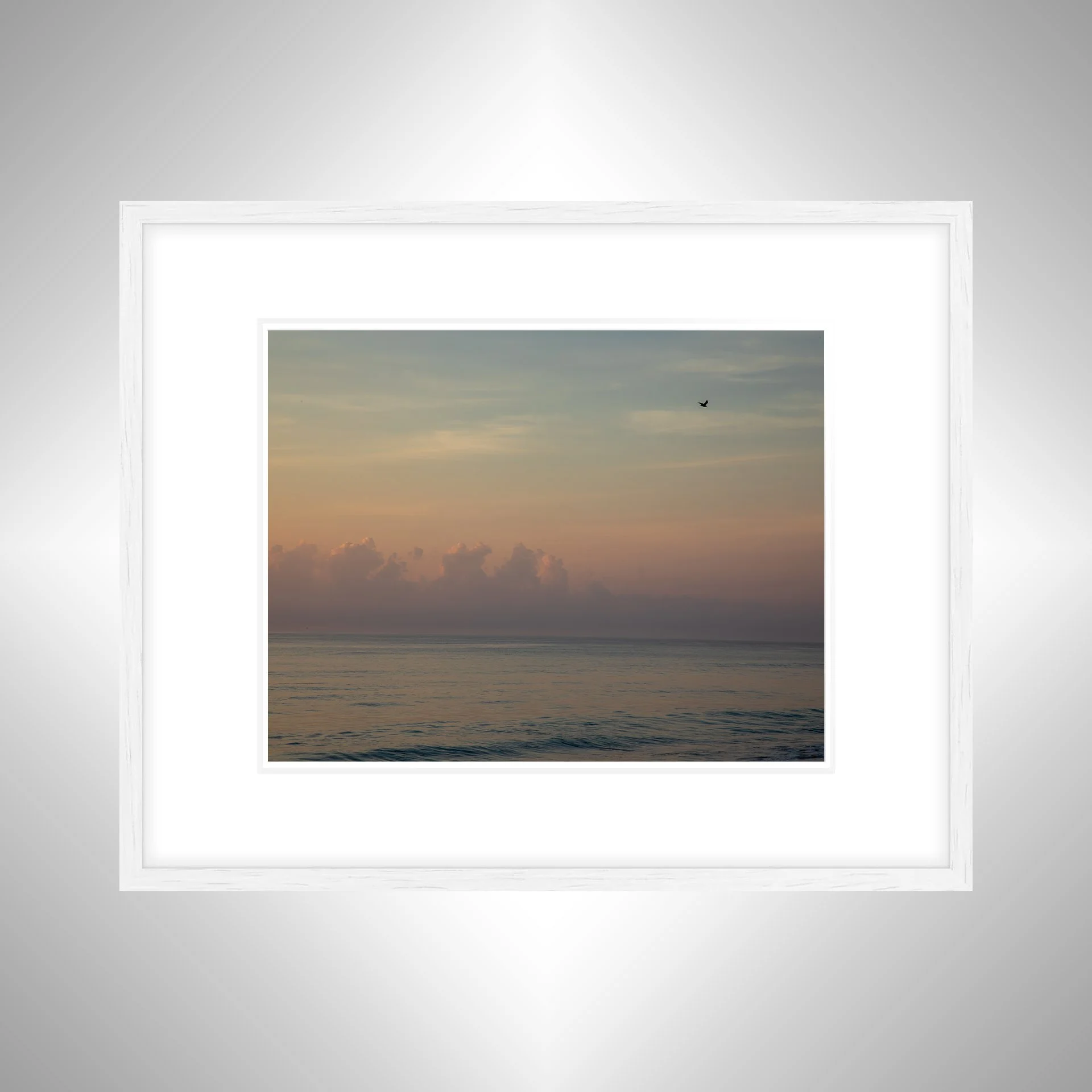 1:1 Pink Sunrise in Duck, NC- White w: Border.jpg