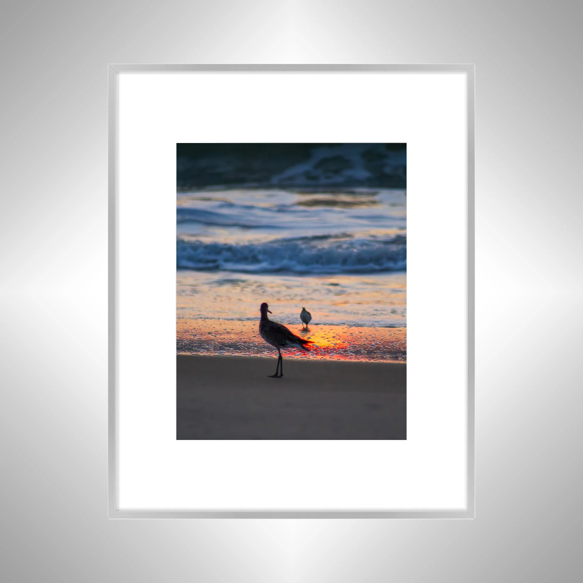 1:1 Willets at Sunrise- Silver w: Border.jpg
