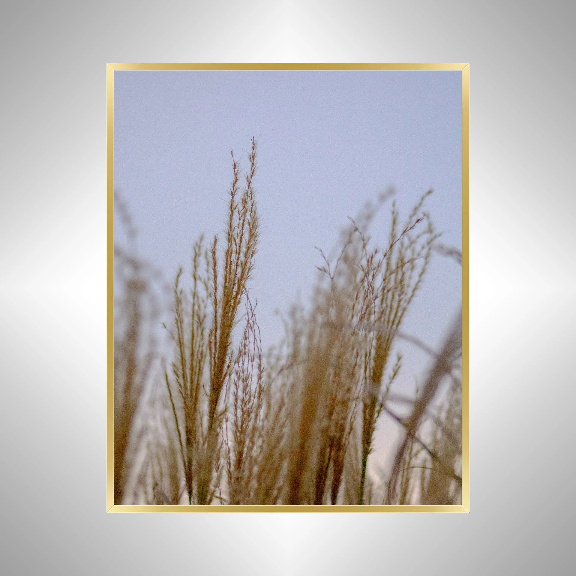 1:1 Lafayette River Oats- Gold Metal.jpg