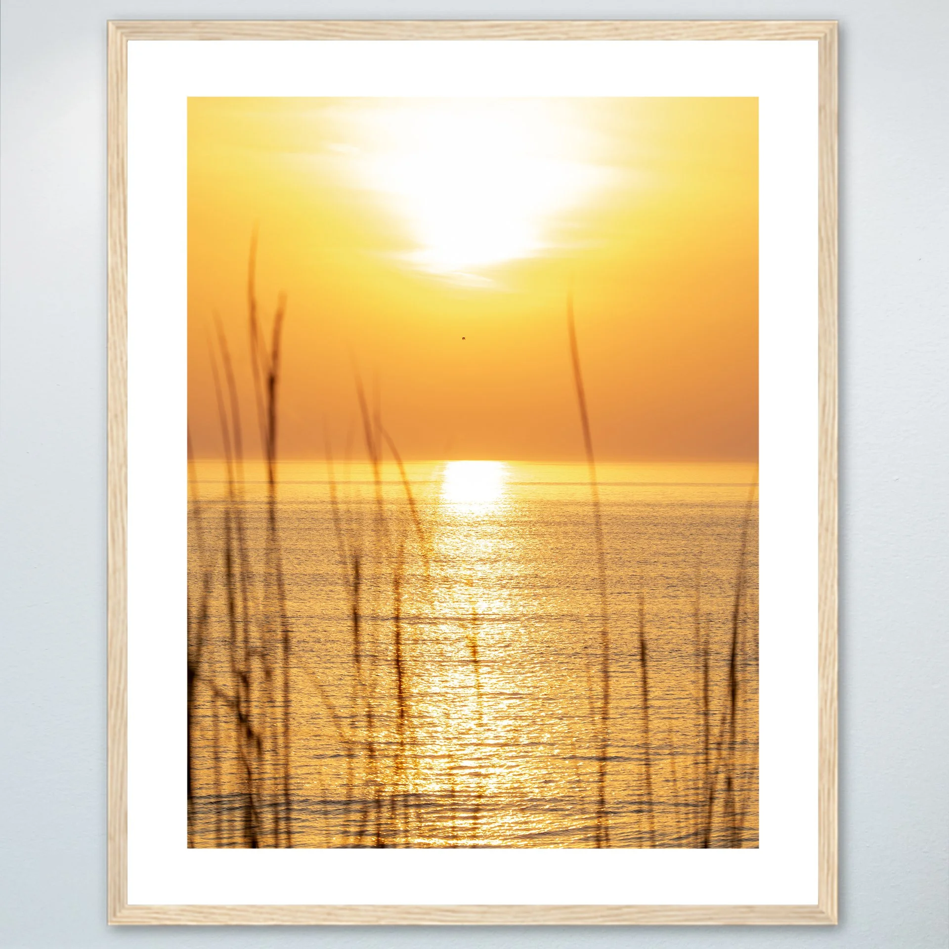 1/1 Sunrise thru Dunegrass with Seagull Flying By in Wood Frame with Border (On Hand)