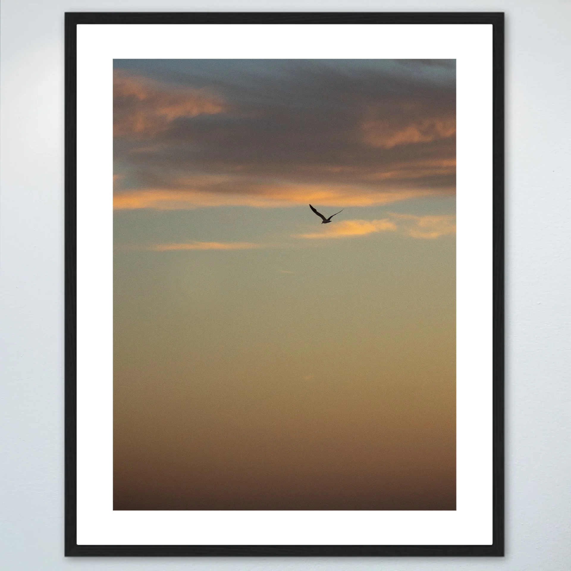 1:1 Seagull Soaring Gradient- Wood w: Border.jpg