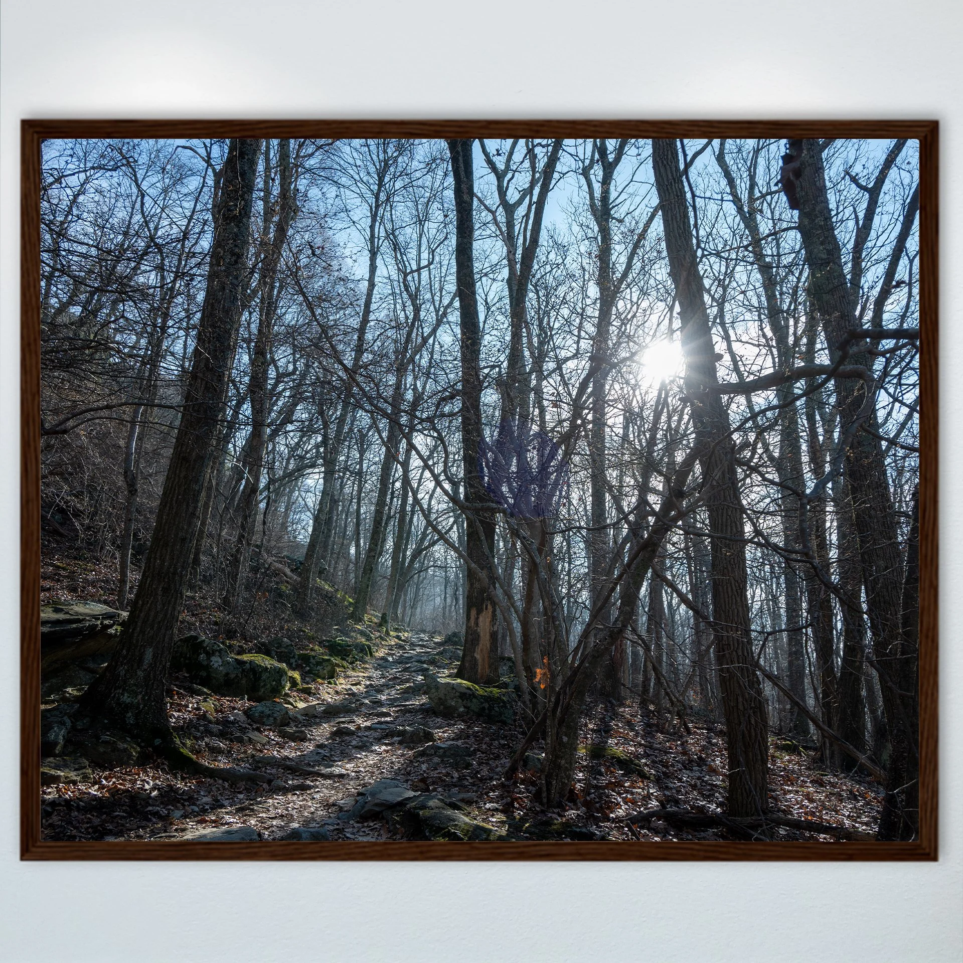1:1 Shenandoah National Park Rock Trail with Sun Flare- Wood.jpg