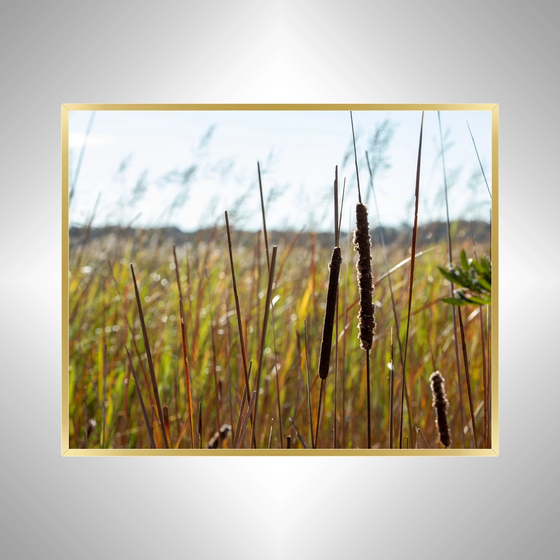 1:1 Back Bay Cattails- Gold Metal.jpg
