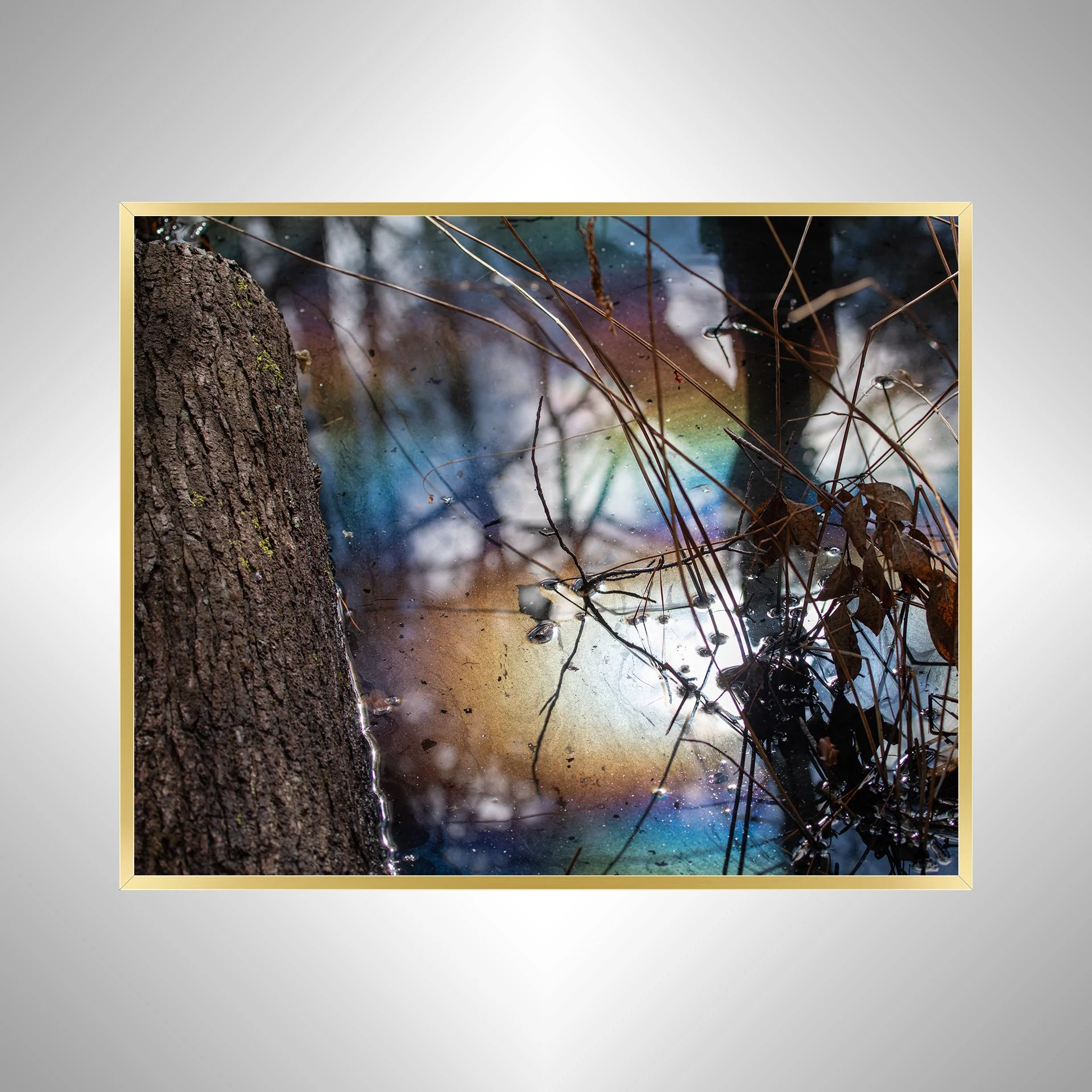 1:1 Rainbow Water at First Landing- Gold.jpg