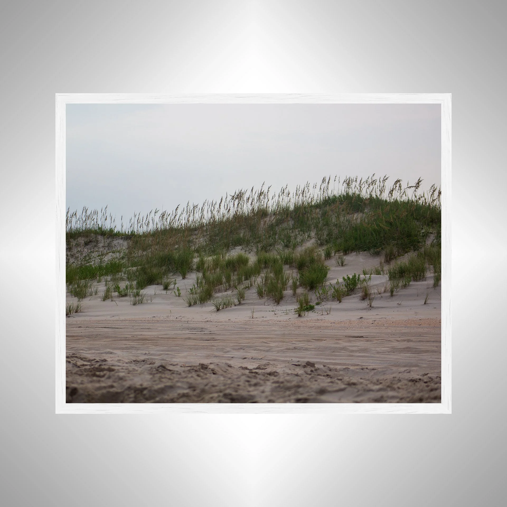 1:10 Ocracoke Dune Oats (Landscape)- White.jpg