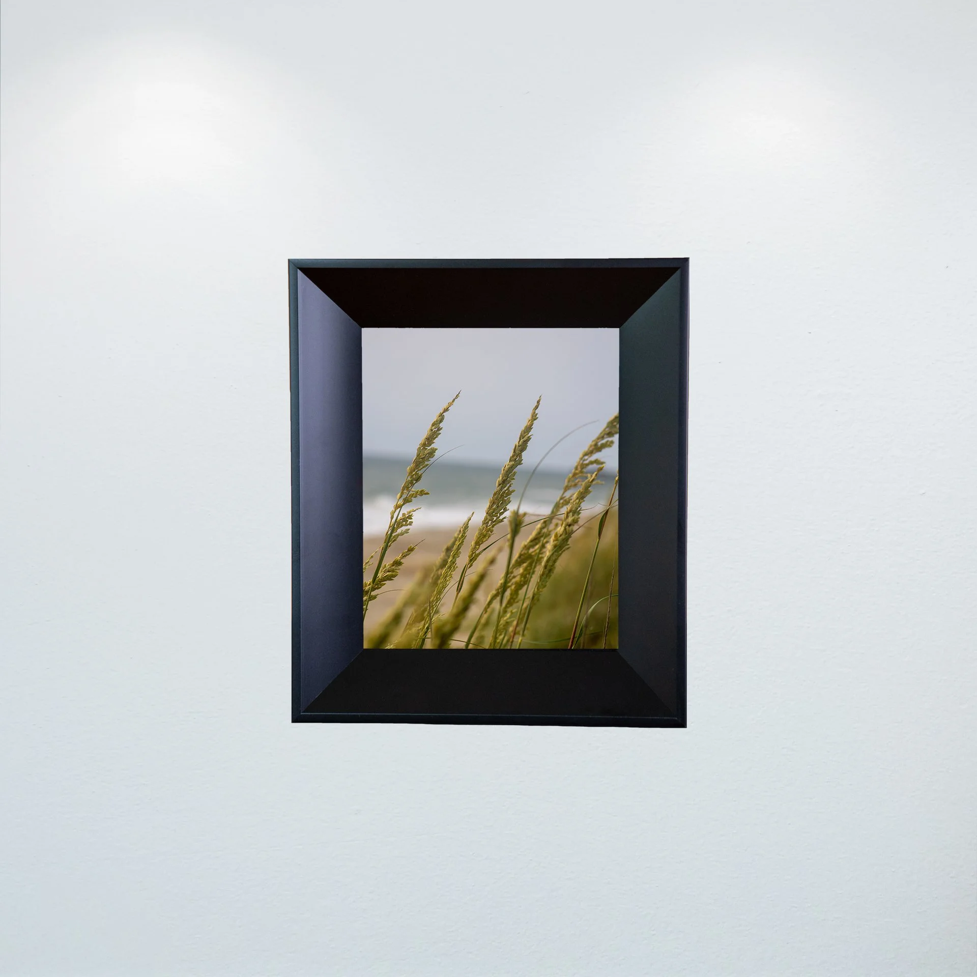 1:1 Rodanthe Dune Oats Group- Mini.jpg