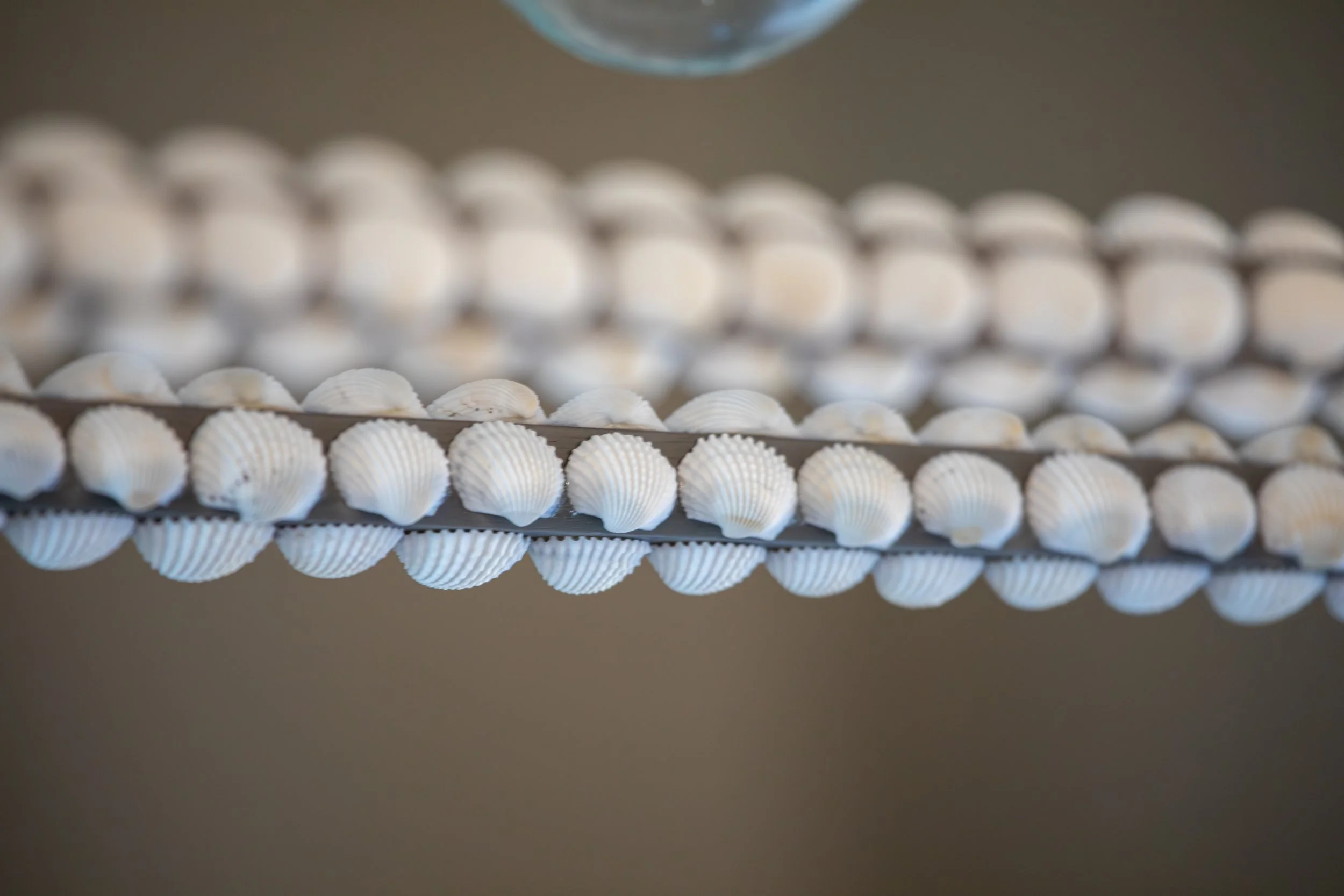 Photo & Video by Will Locke Product Photography in Norfolk, VA for Carolina Willow Shell Art. 