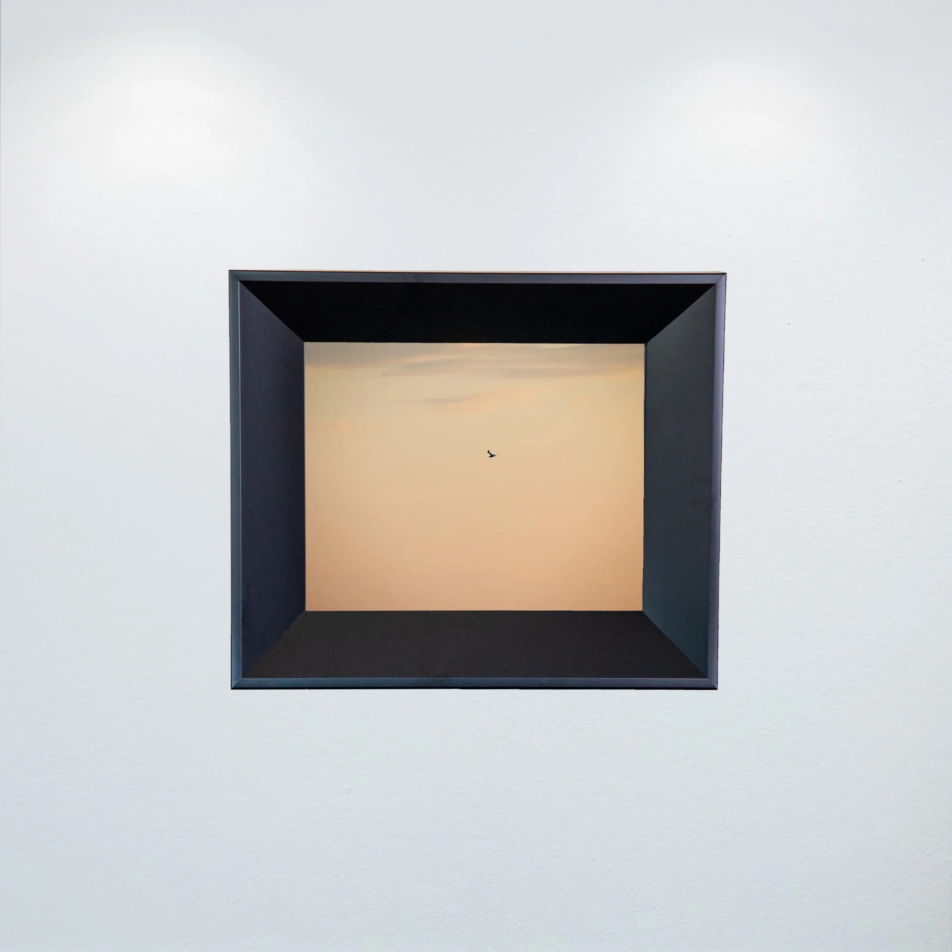 1:1 Orange Seagull- Mini.jpg