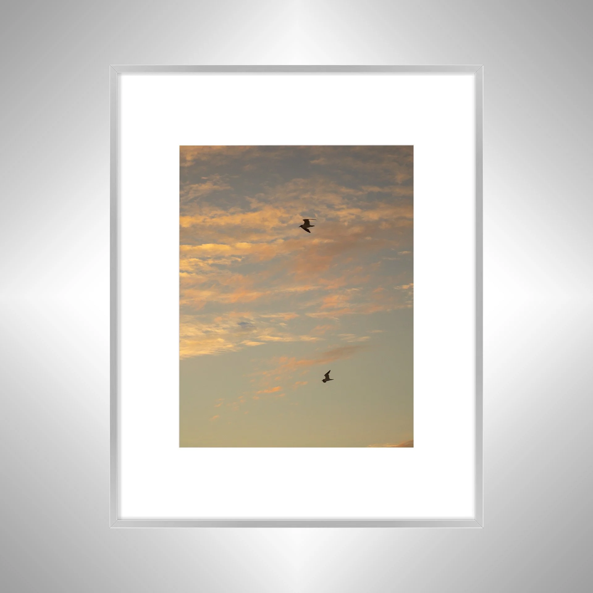 1:10 Love Birds (Seagulls)- Silver w: Border.jpg