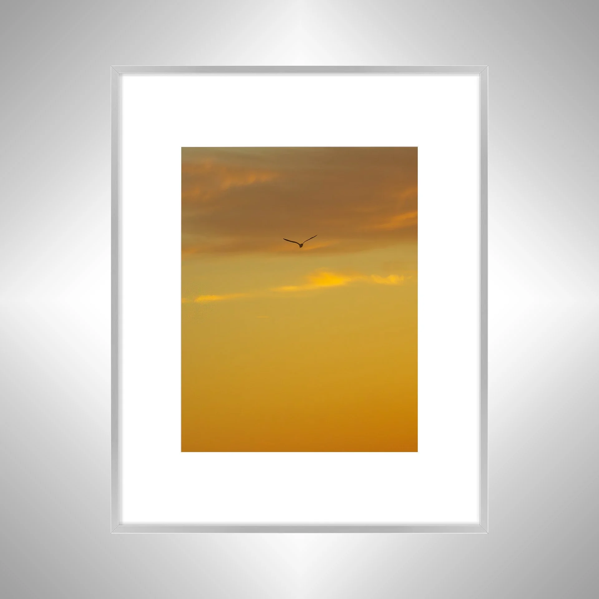 1:1 Seagull Soaring towards Clouds & Sunrise Gradient- Silver w: Border.jpg