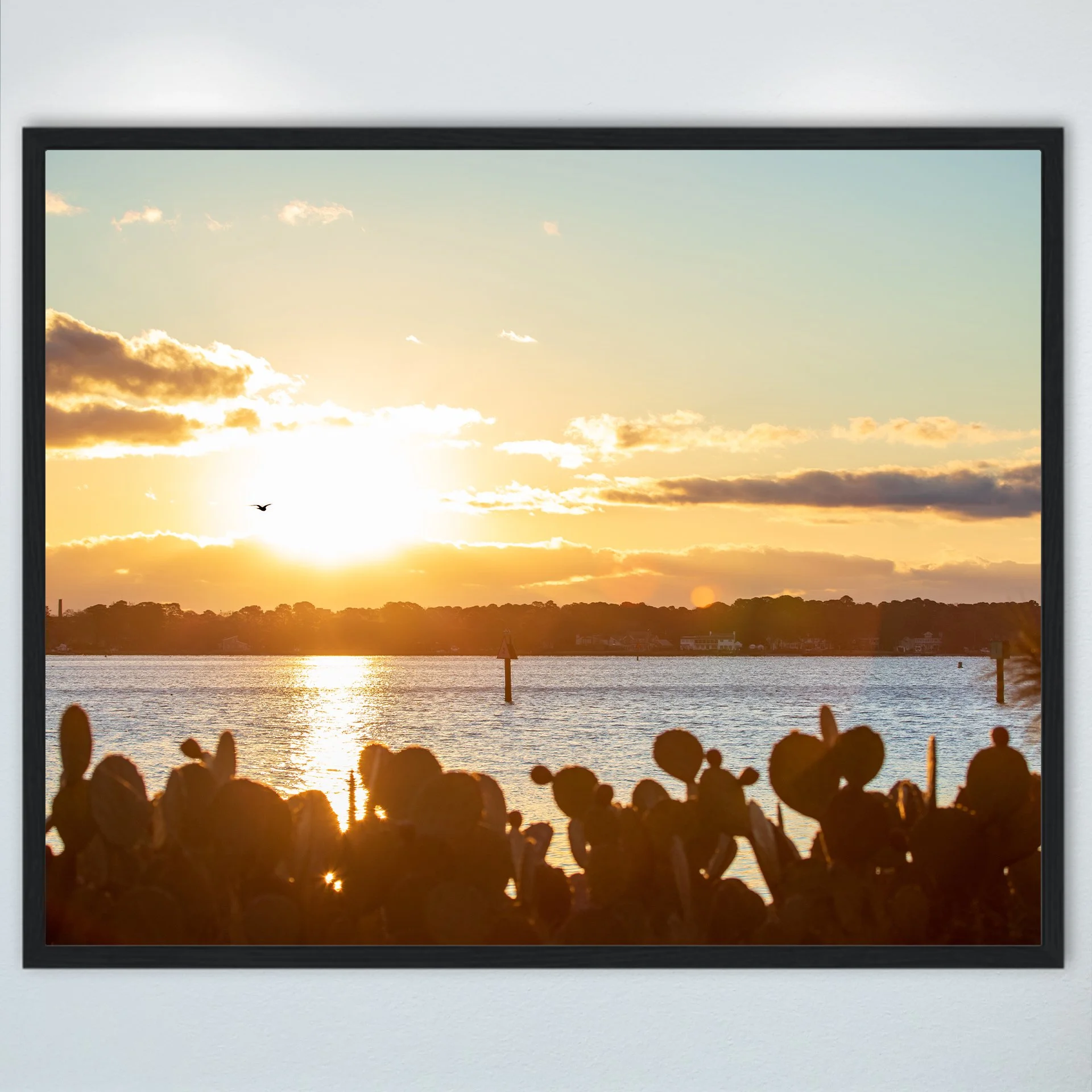 1:1 Seagull at Sunrise on the Lafayette- Wood.jpg