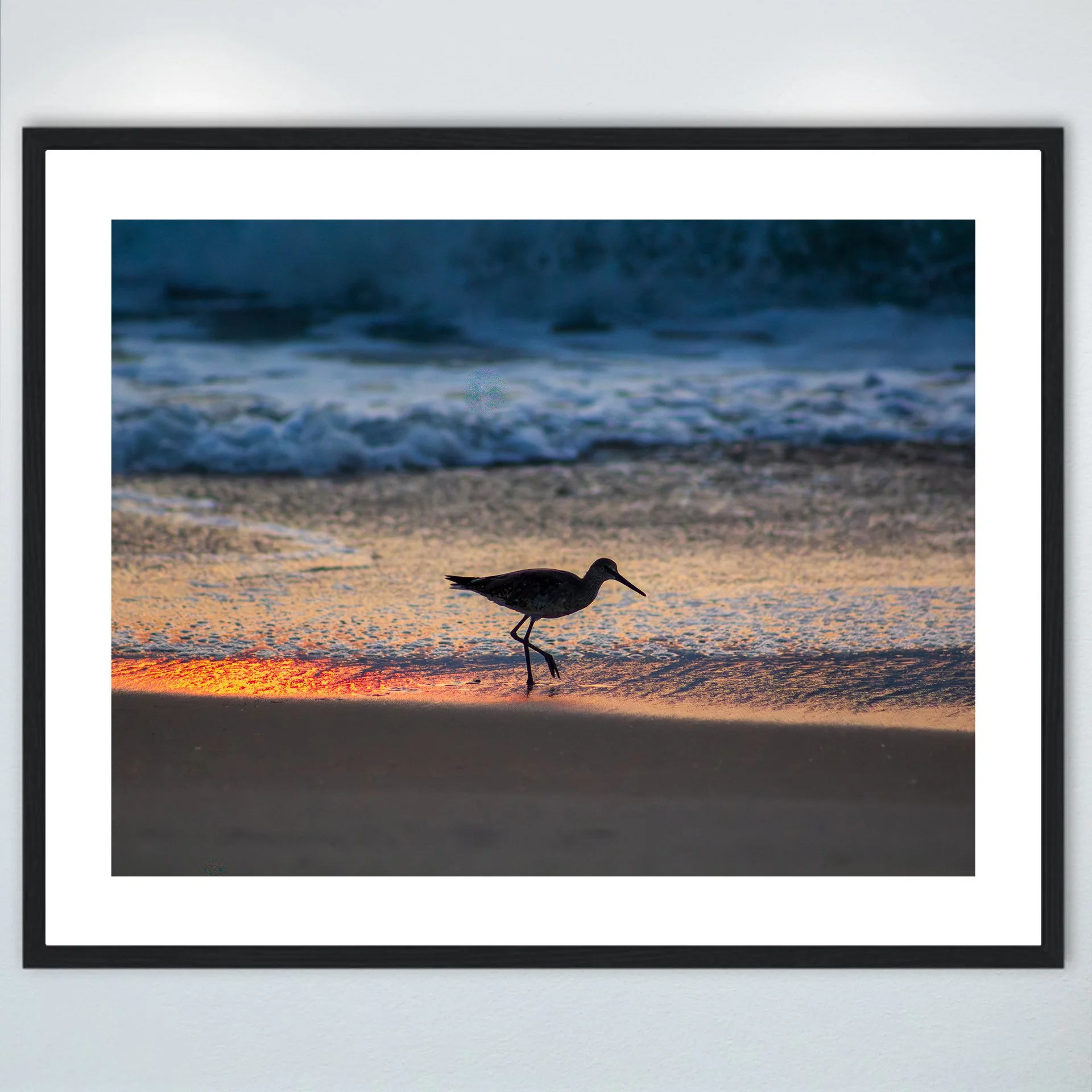 1:1 Willet Step- Wood w: Border.jpg