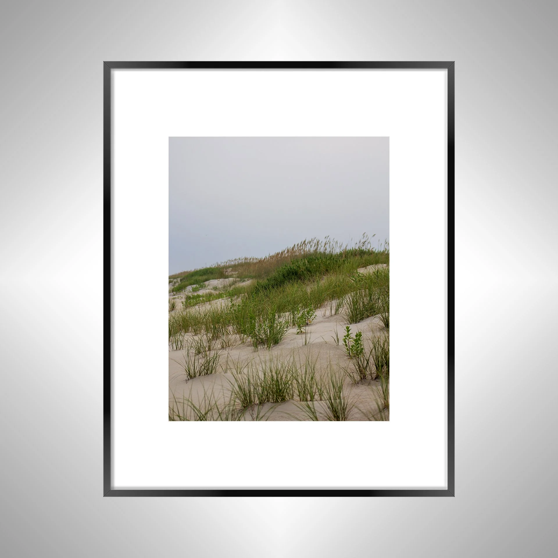 1:10 Ocracoke Dune Oats (Portrait)- Black w: Border.jpg