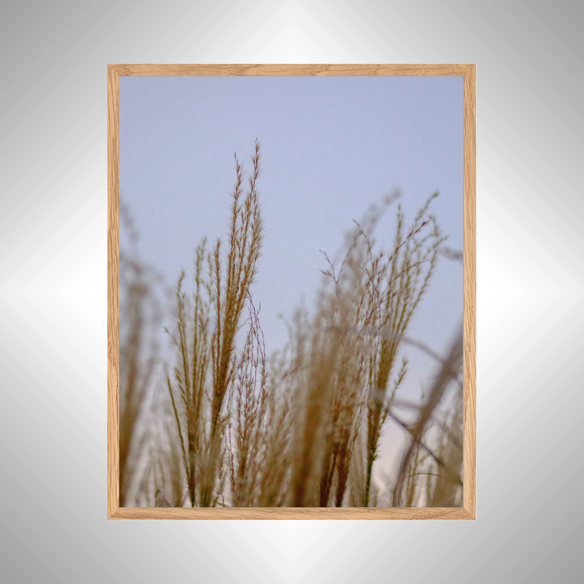 1:1 Lafayette River Oats- White Wood copy NATTY.jpg