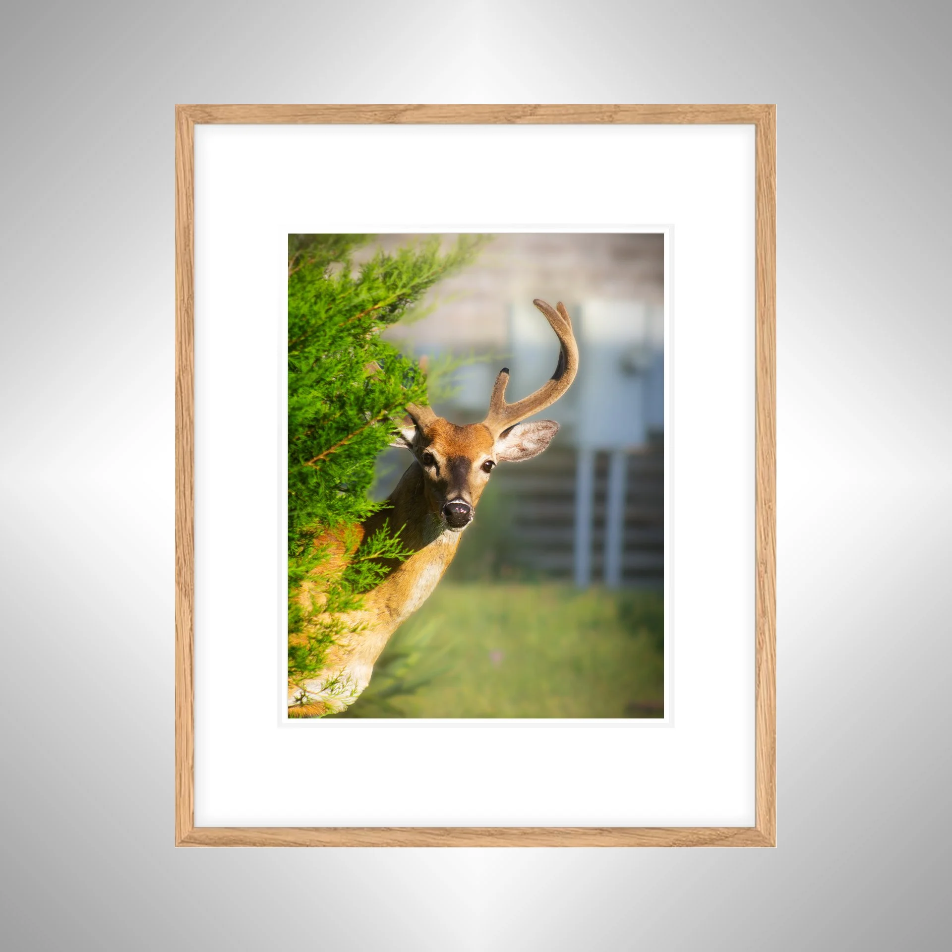 1:1 Deer Peer- White Wood w: Border copy NATTY.jpg