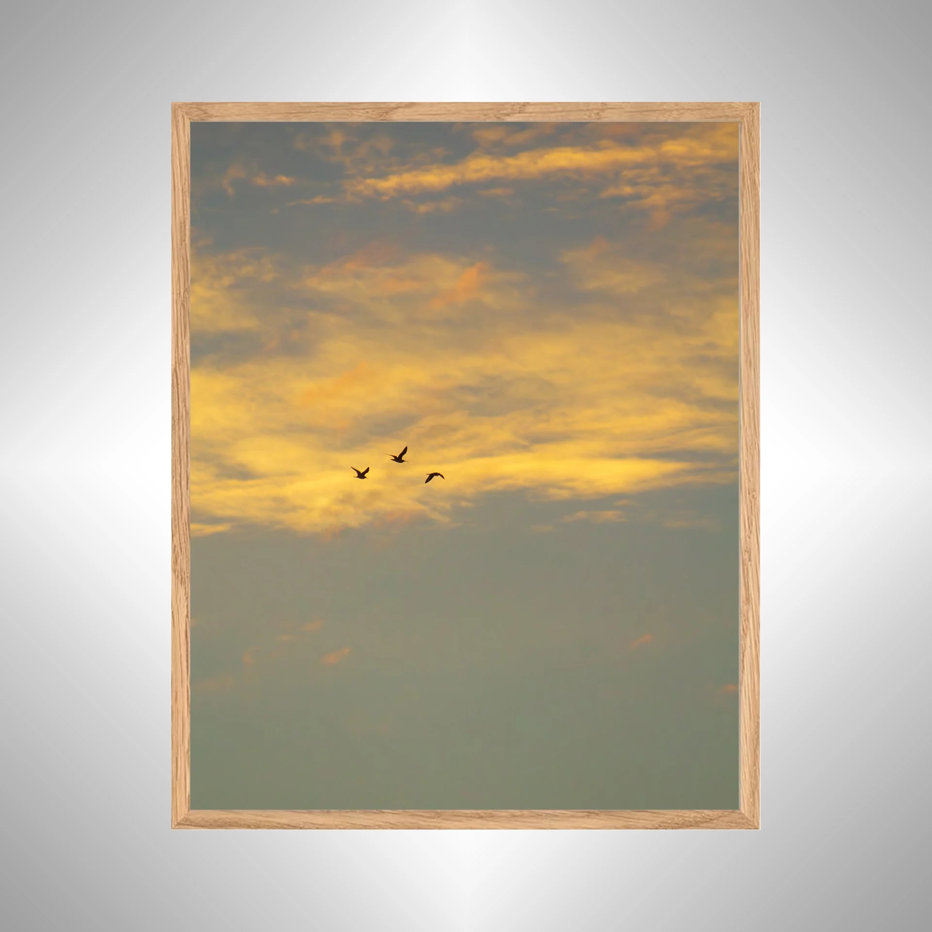 1:1 Trio of Gulls Flying at Sunrise- White copy NATTY.jpg