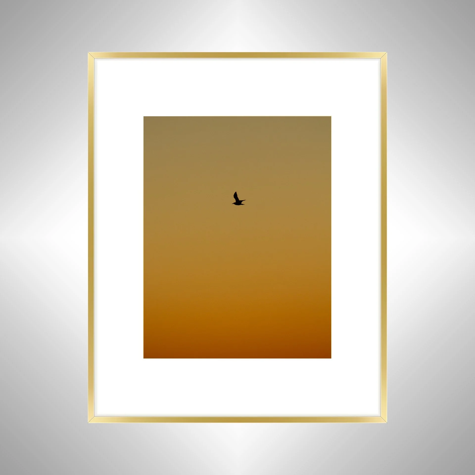 1:1 Seagull Silhouette Soaring North with Orange Gradient- Gold w: Border.jpg