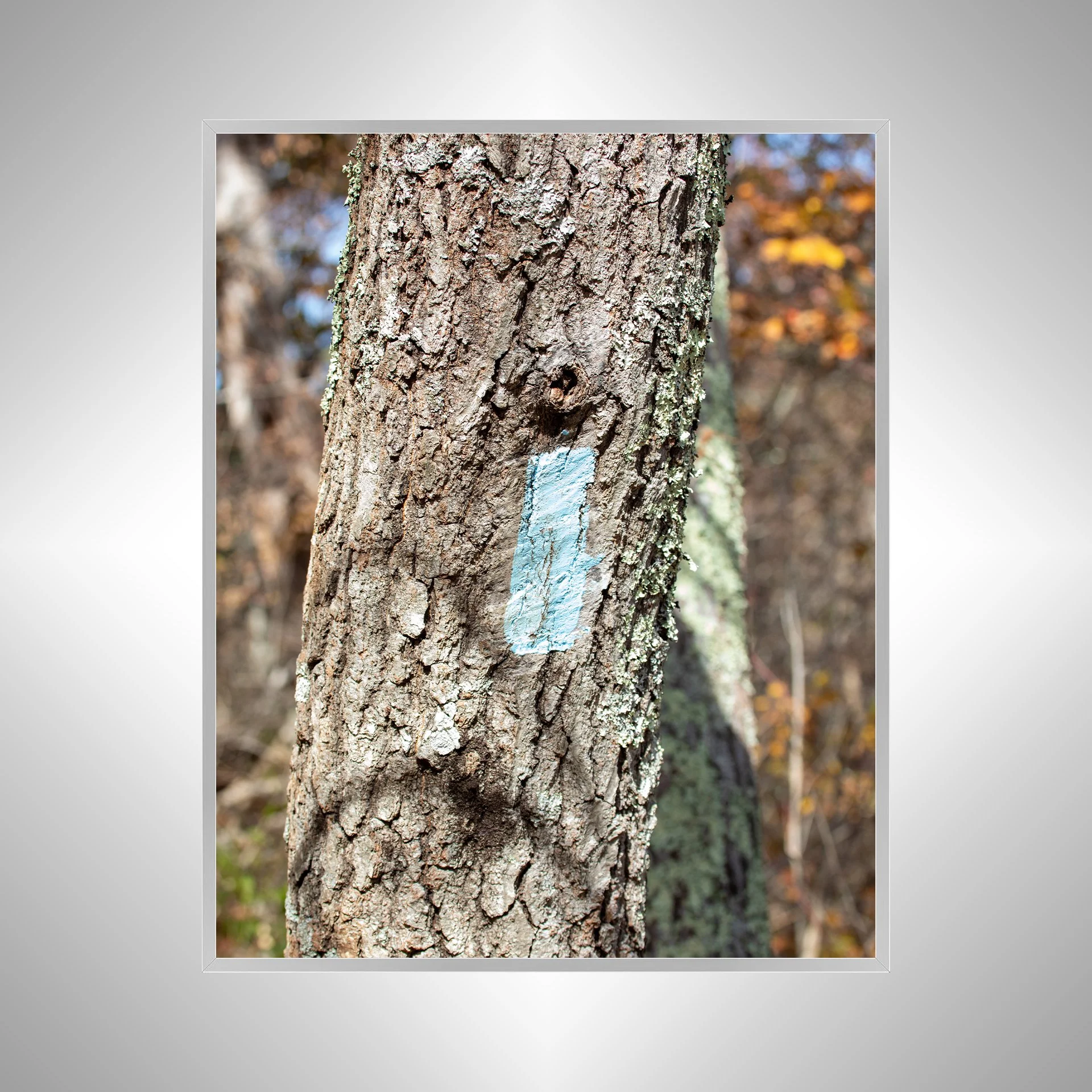 1:10 Appalachian Trail Blaze- Silver.jpg