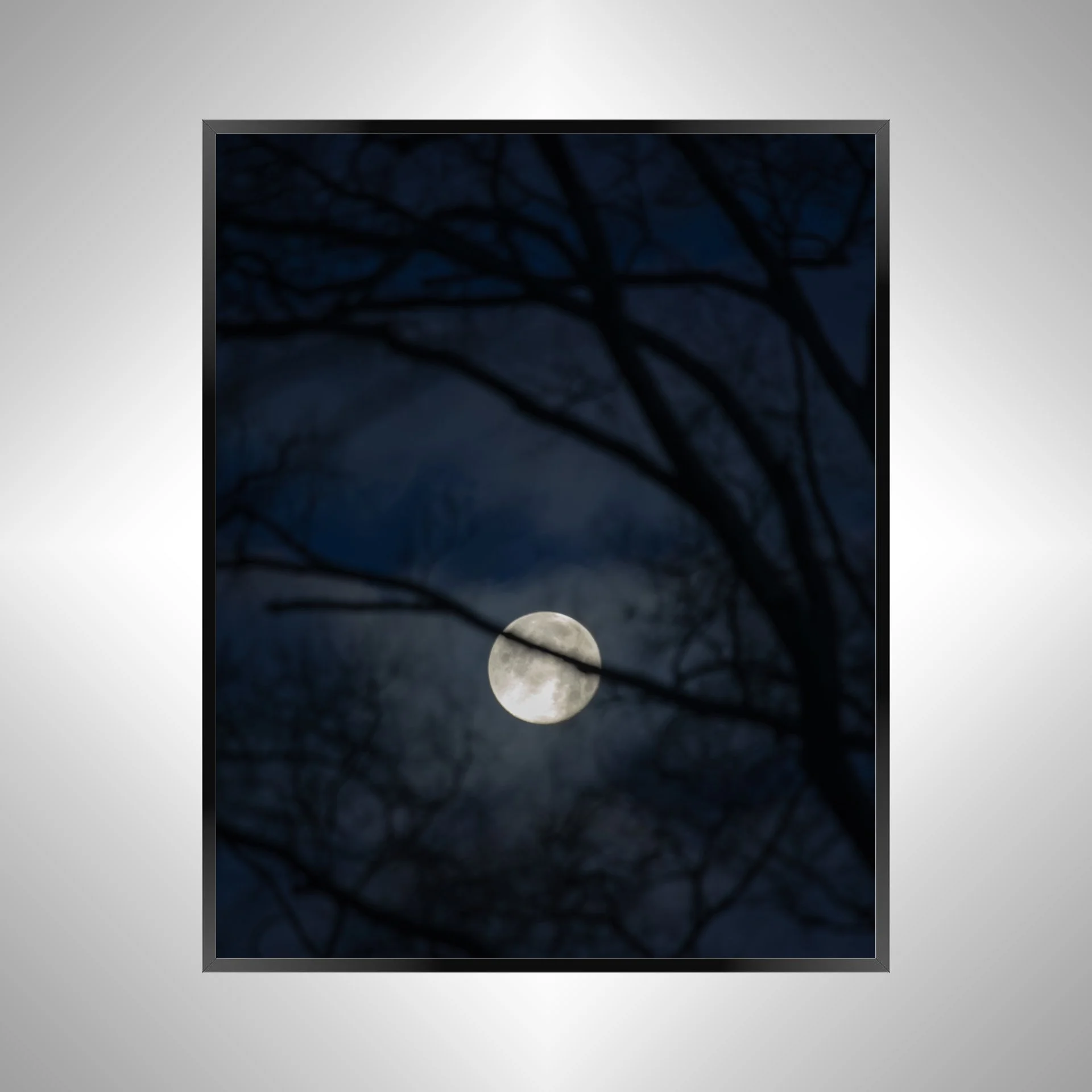 1:10 Moon thru Tree Branches- Black.jpg