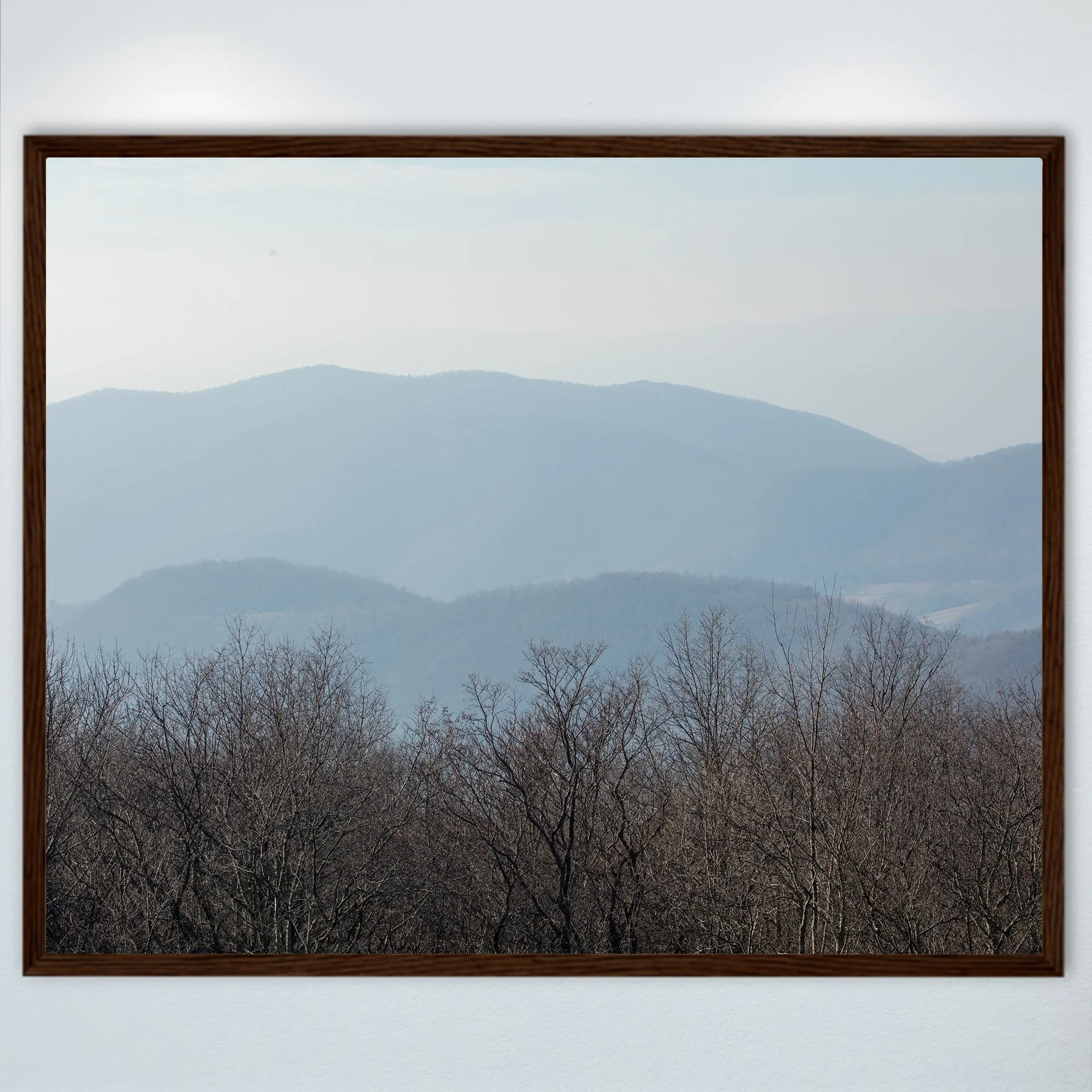 1:10 Shenandoah Mountain Layers- Wood.jpg
