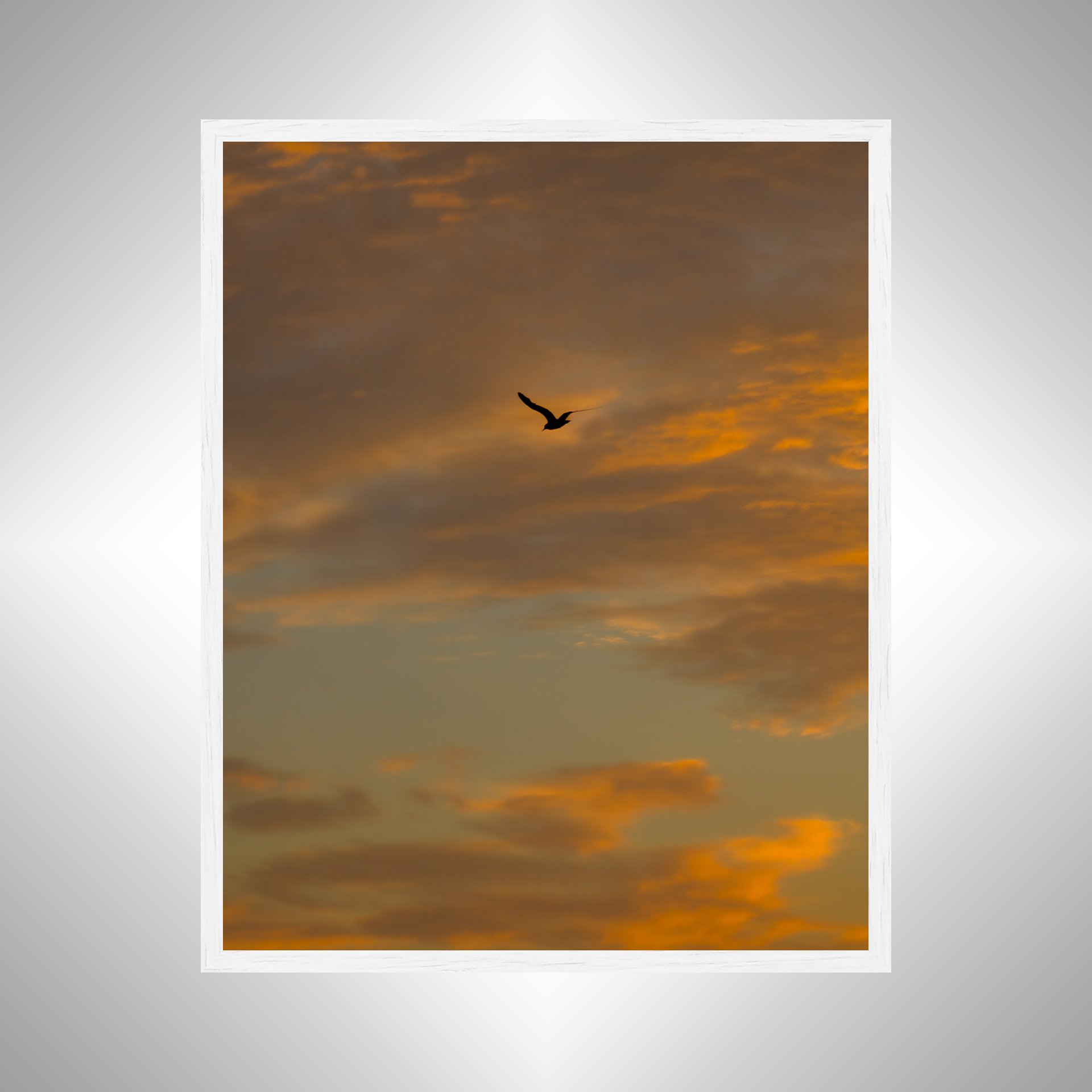 1:10 Seagull Soaring to Sunrise- White.jpg