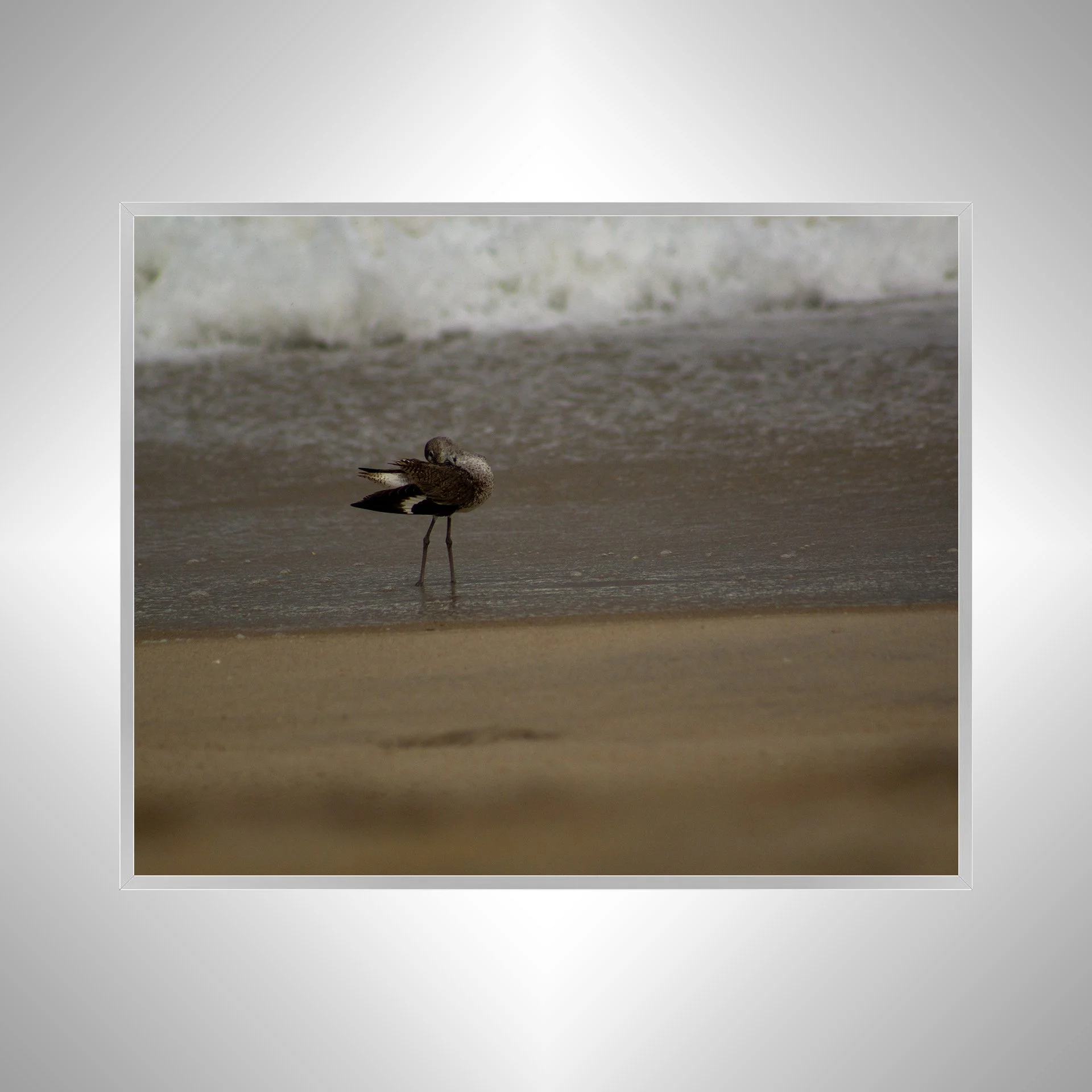 1:1 Willet Cleaning- Silver.jpg