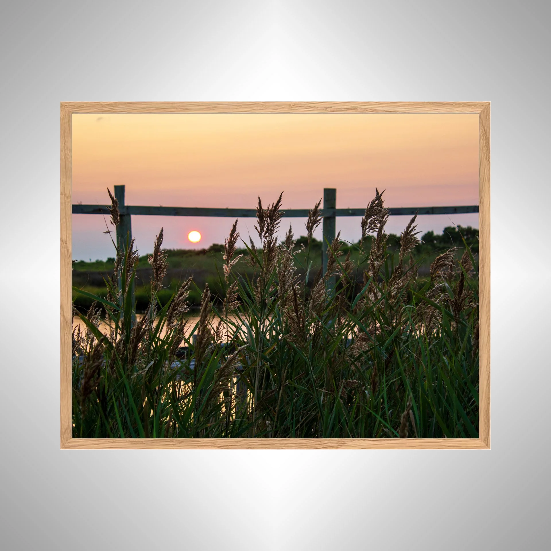 1:1 OBX Sound Sunset with Sea Oats- White copy NATTY.jpg
