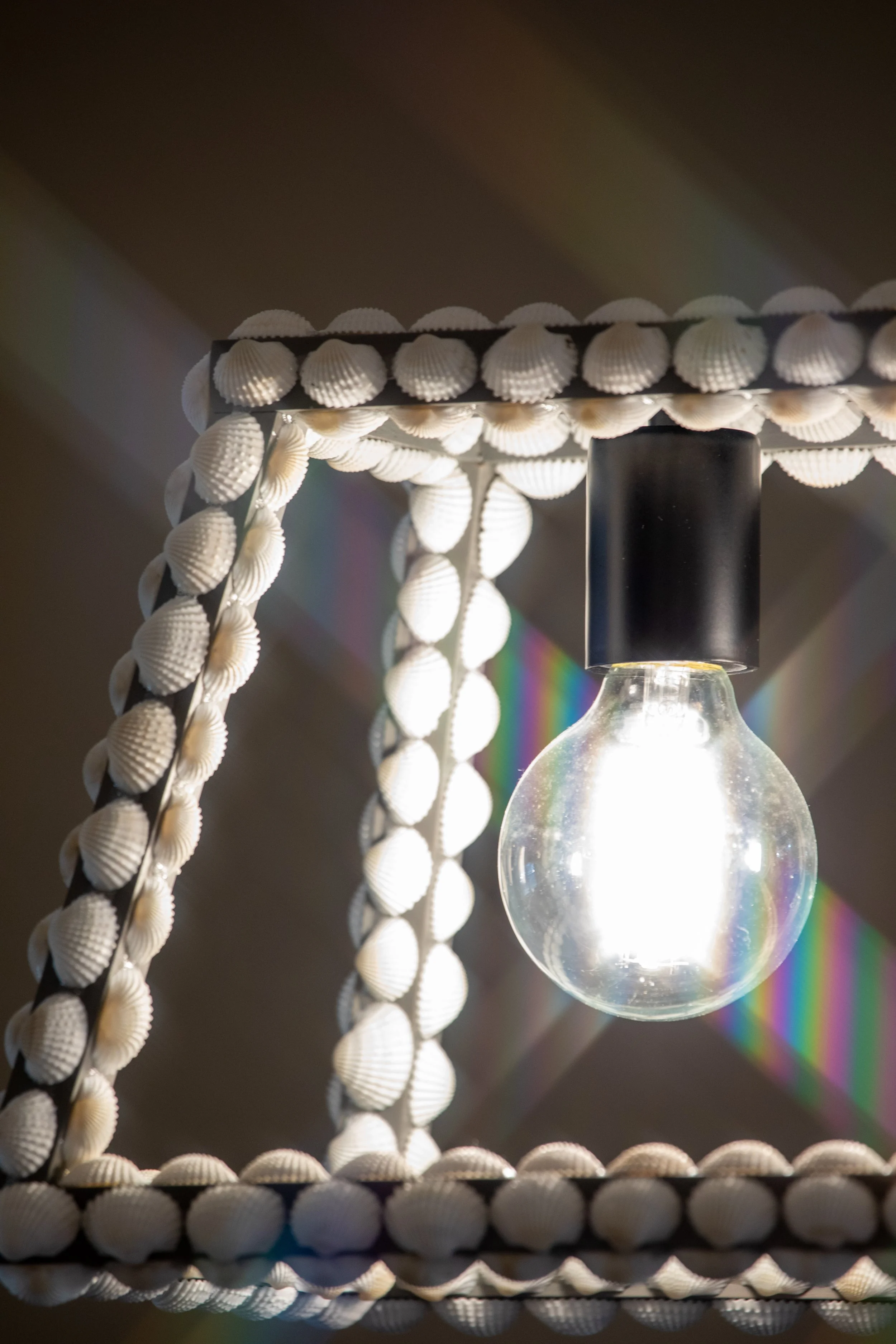 Photo & Video by Will Locke Product Photography in Norfolk, VA for Carolina Willow Shell Art. 