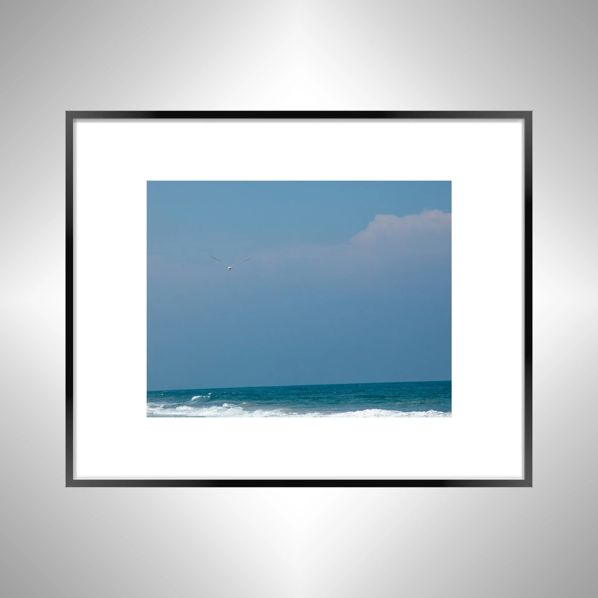 1:10 Seagull in Carova- Black w: Border.jpg