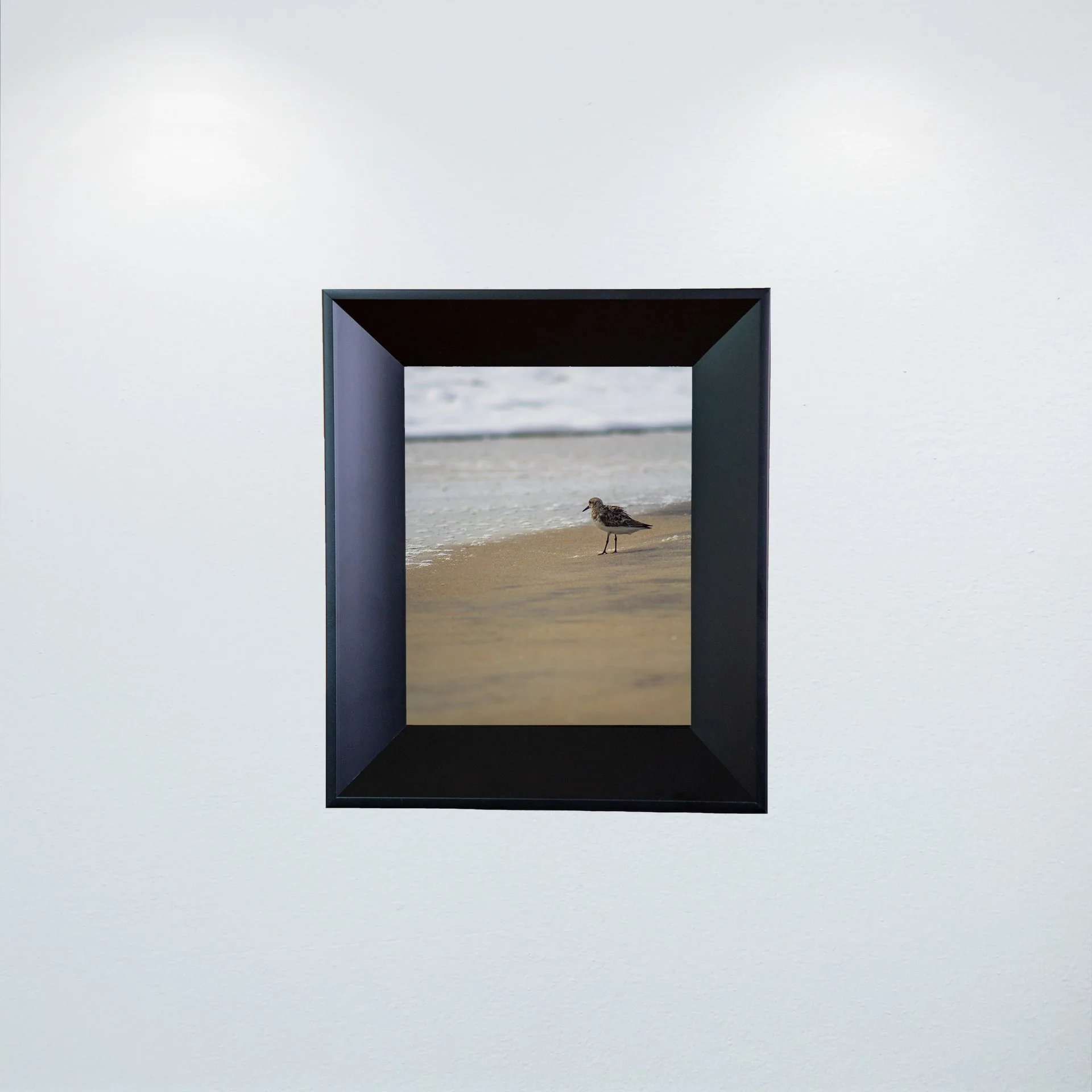 1:10 Sanderling at the Beach- Mini.jpg