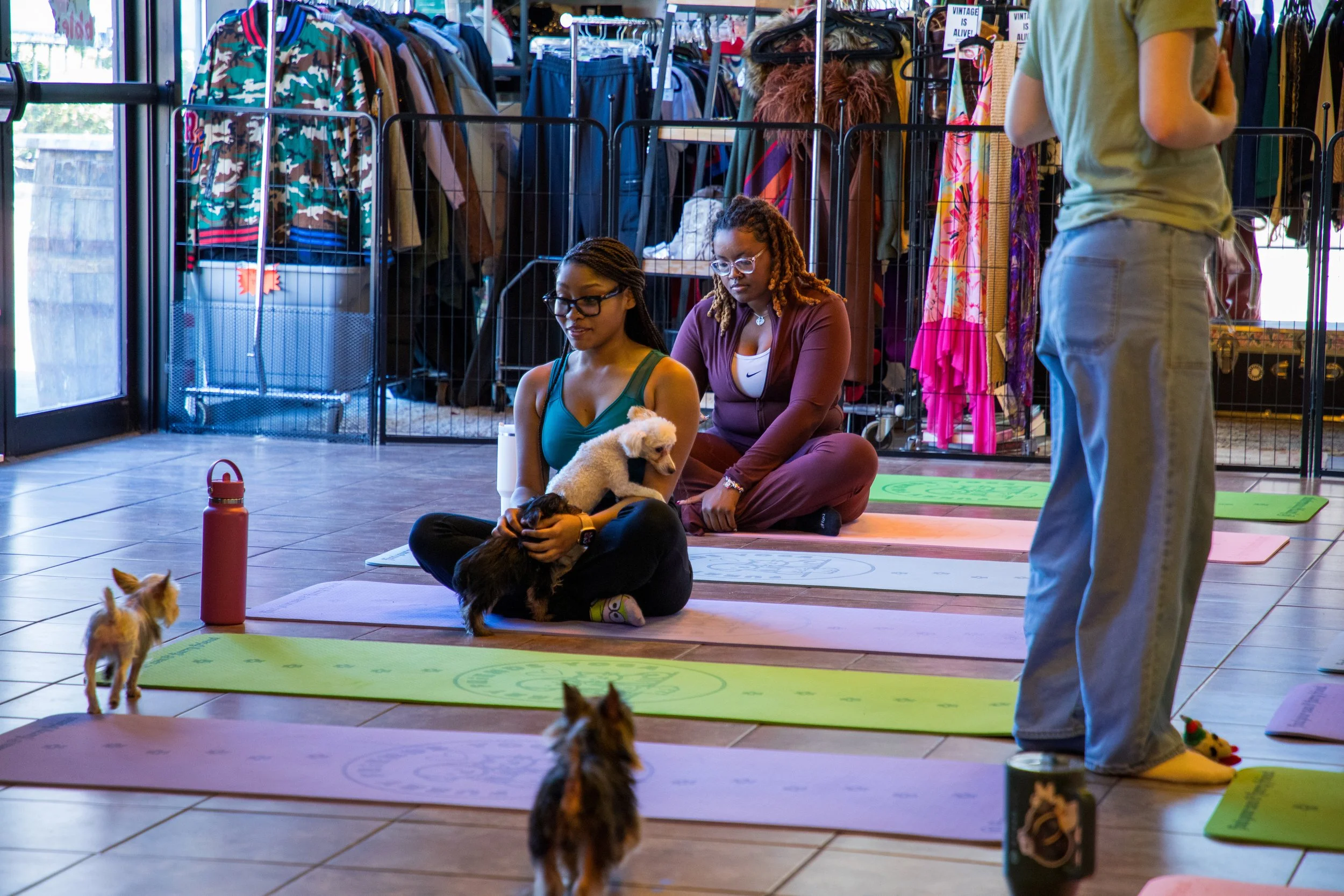 Marketing and Event Photography by Will Locke. Indoor yoga class with people and puppies, participants sitting on yoga mats, some with puppies, in a clothing store or boutique setting.