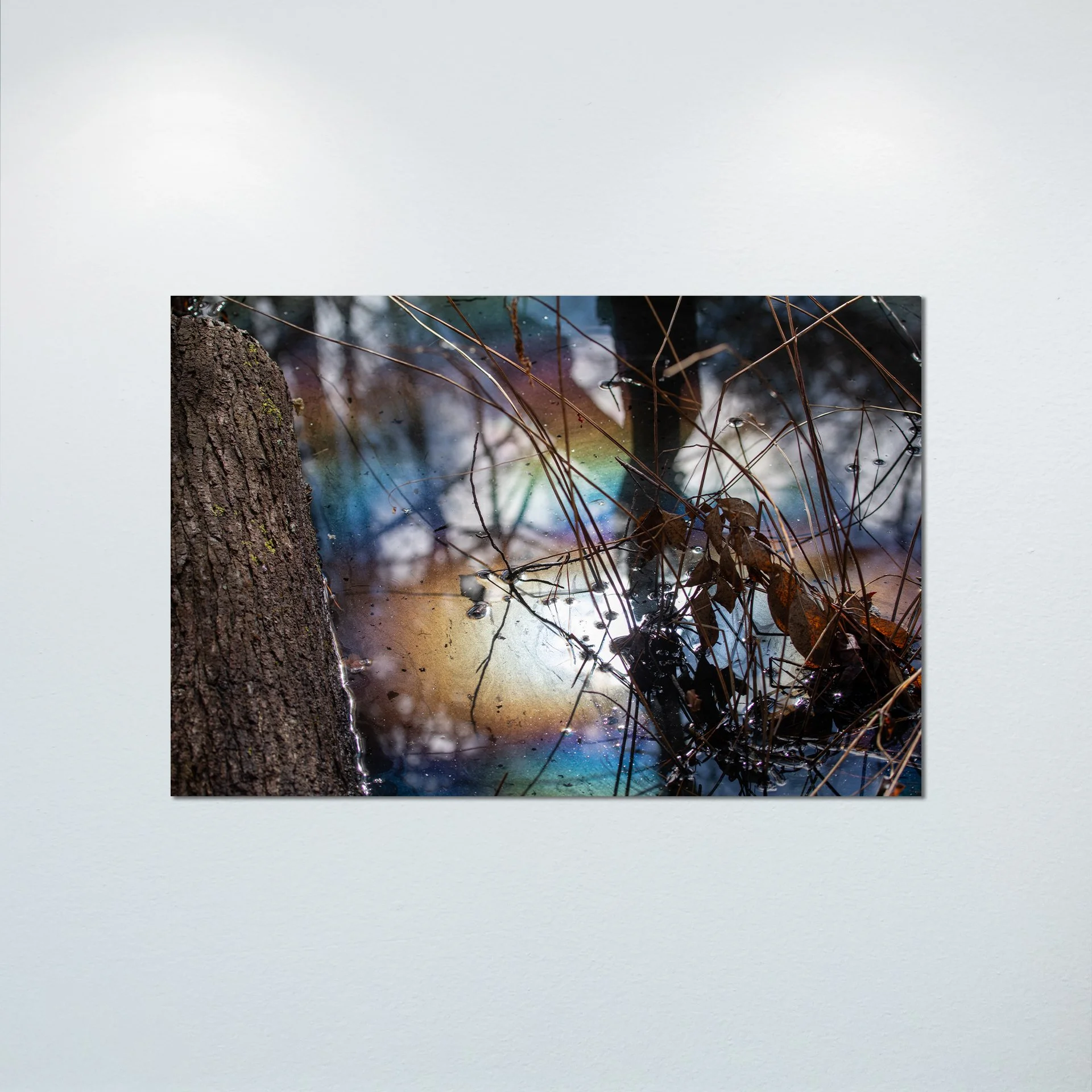 1:1 Rainbow Water at First Landing- Poster & Canvas.jpg