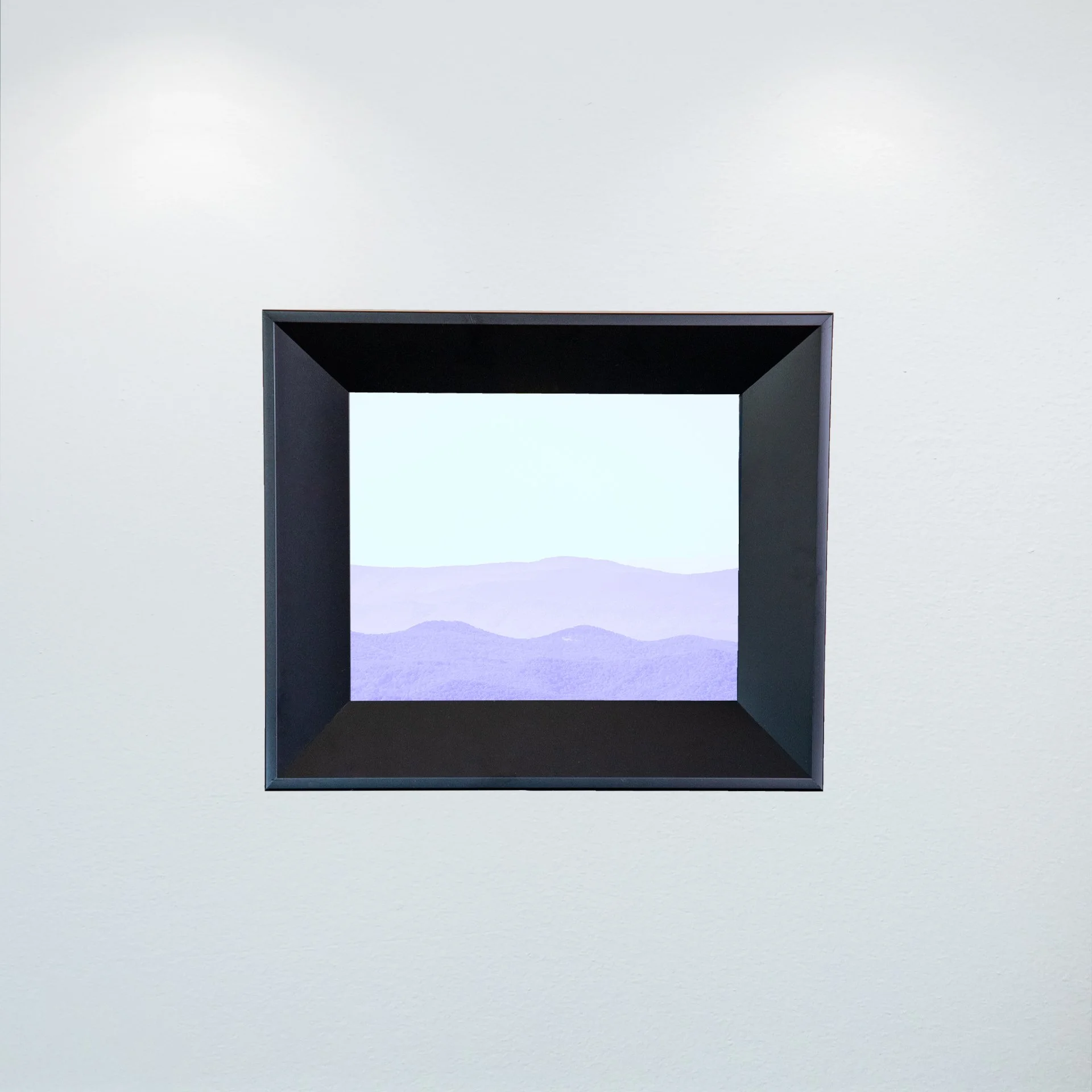 1:1 Shenandoah Purple Canopy Layers- Mini.jpg