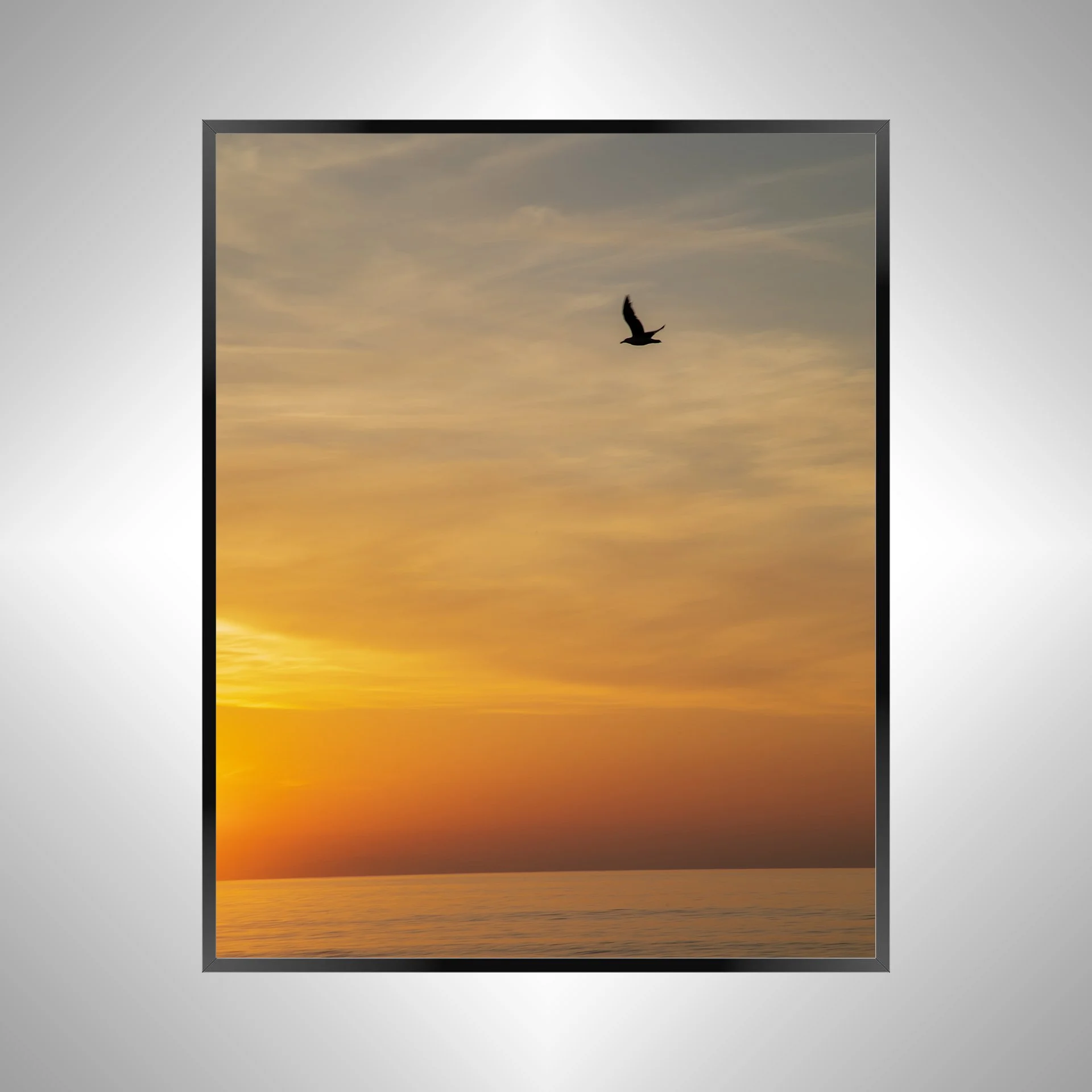 1/1 Seagull at Sunrise in Duck, NC (Portrait)