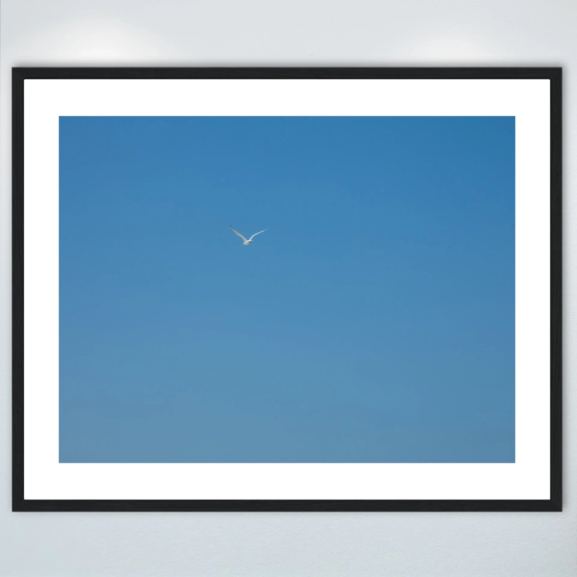1:10 Seagull Flying Away- Wood w: Border.jpg
