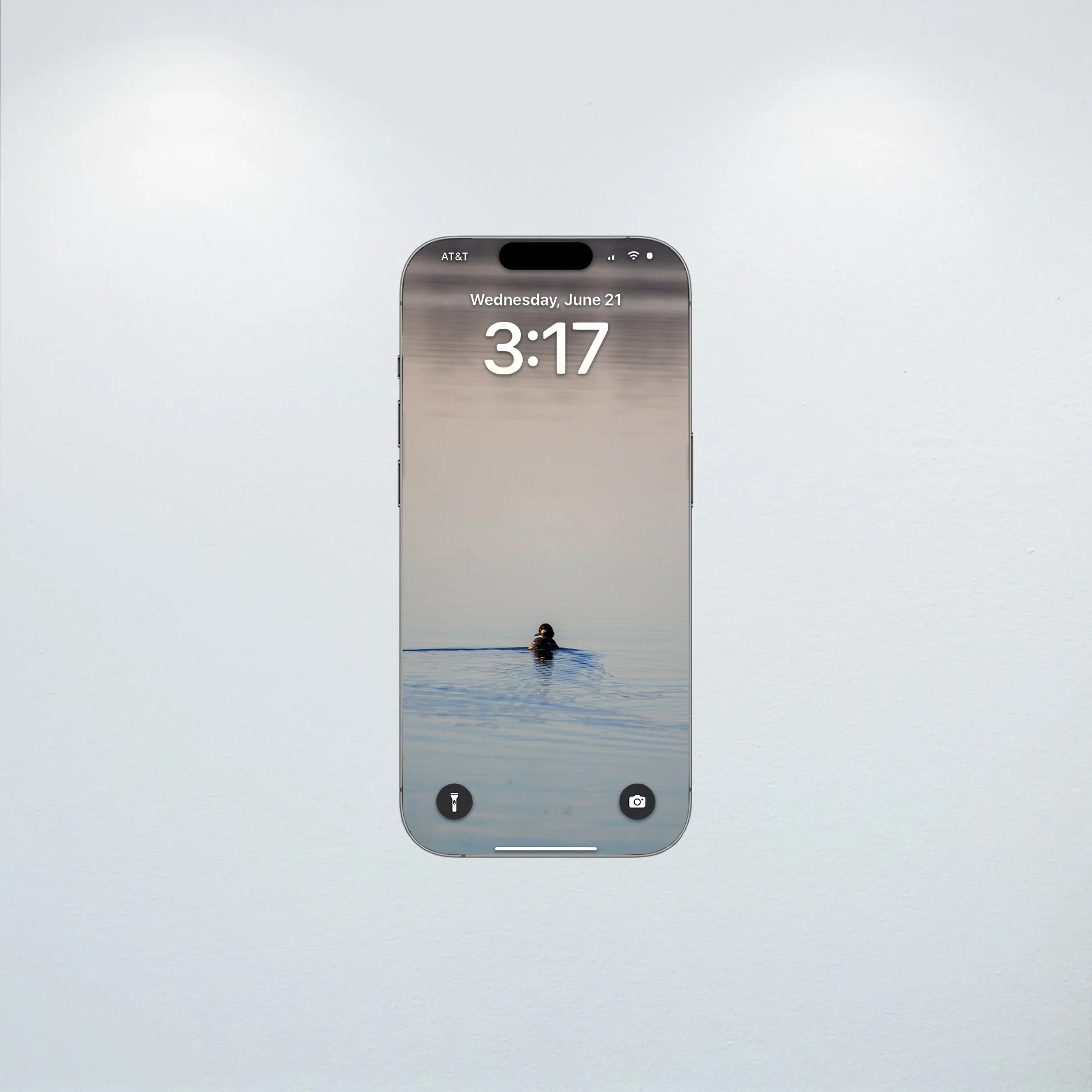 1:10 Bufflehead on Lafayette- Wallpaper.jpg