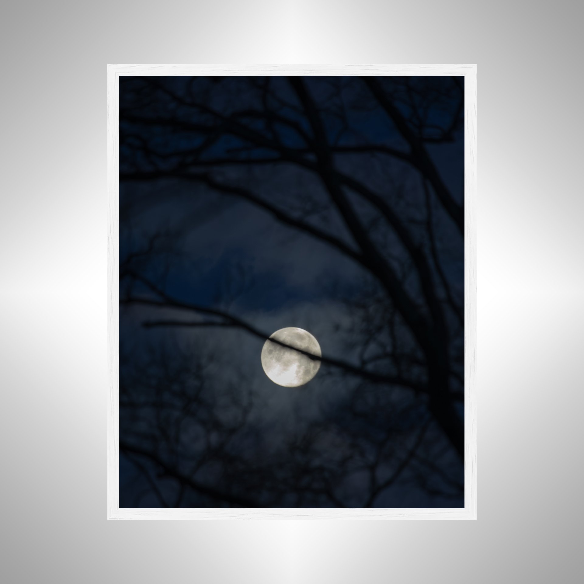 1:10 Moon thru Tree Branches- White.jpg