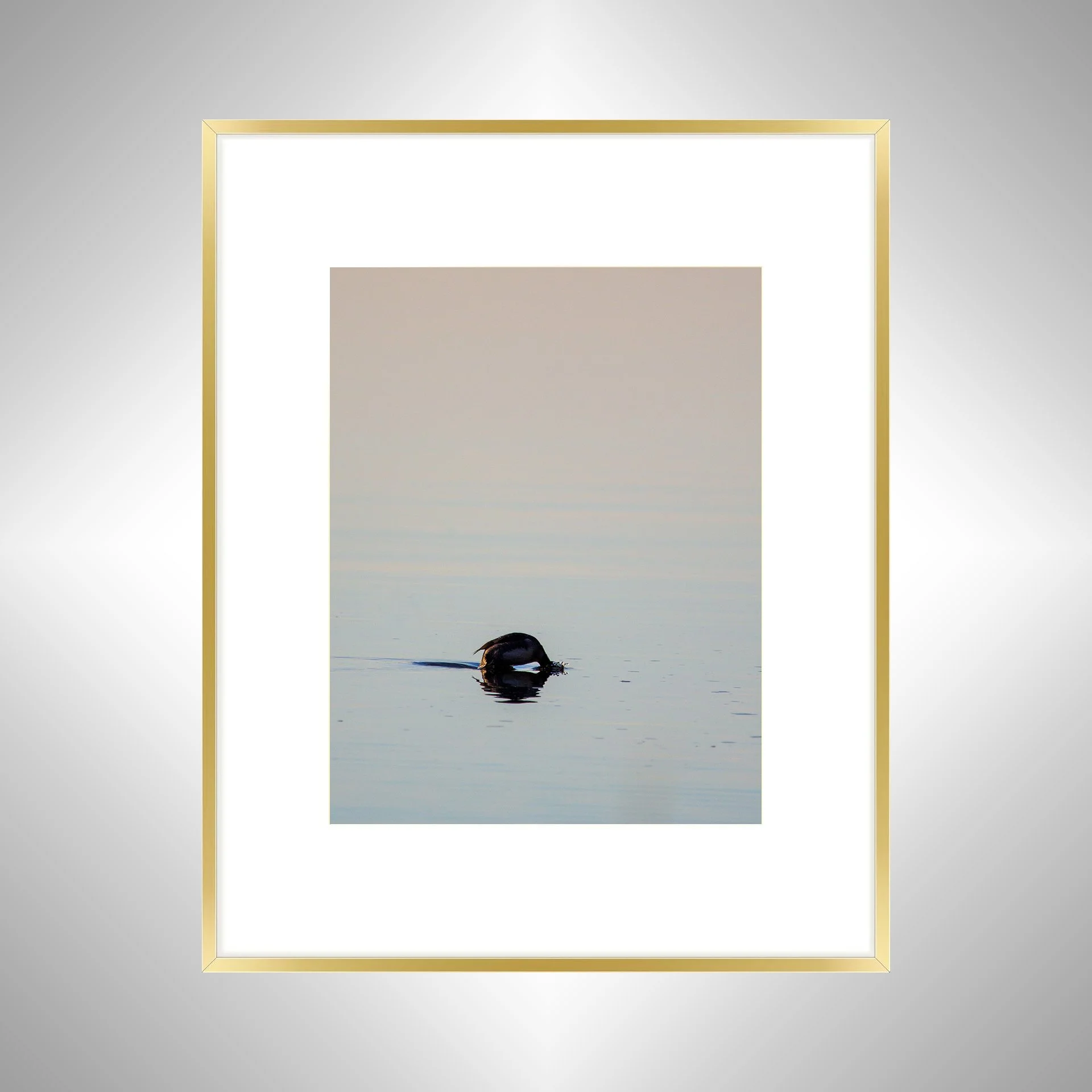 1:1 Bufflehead on Lafayette Diving- Gold Metal w: Border.jpg