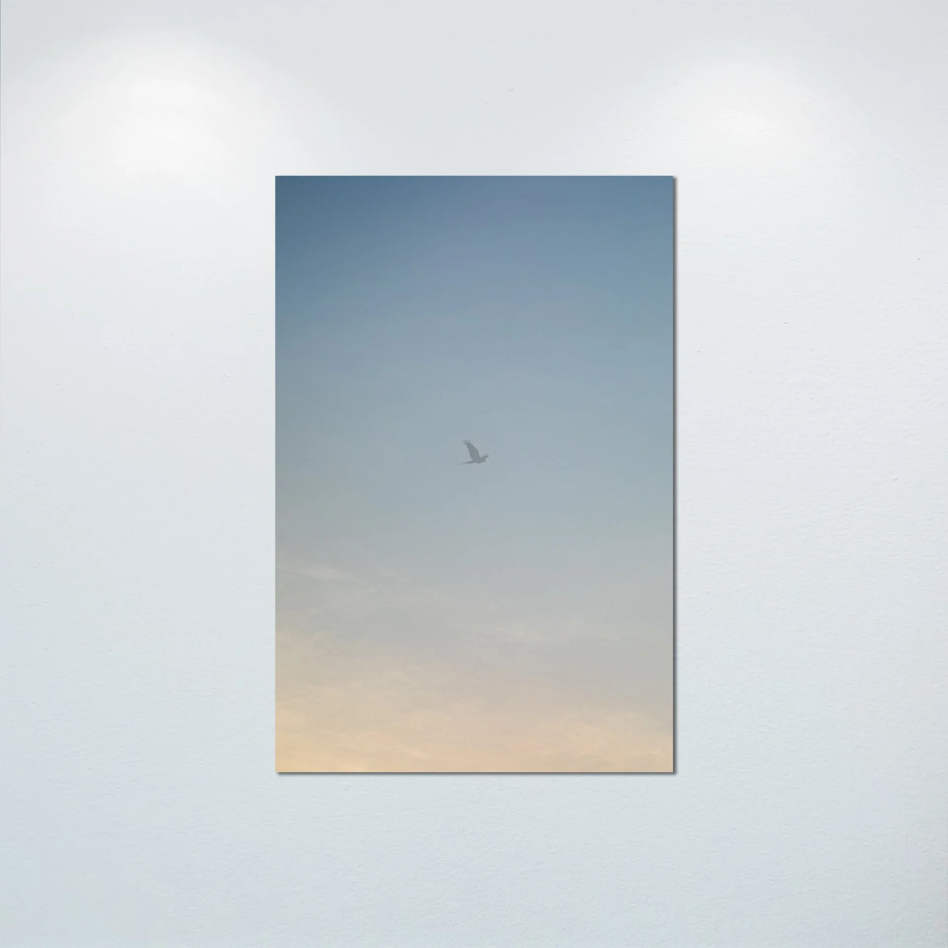 1:1 Seagull thru Fog- Poster & Canvas.jpg