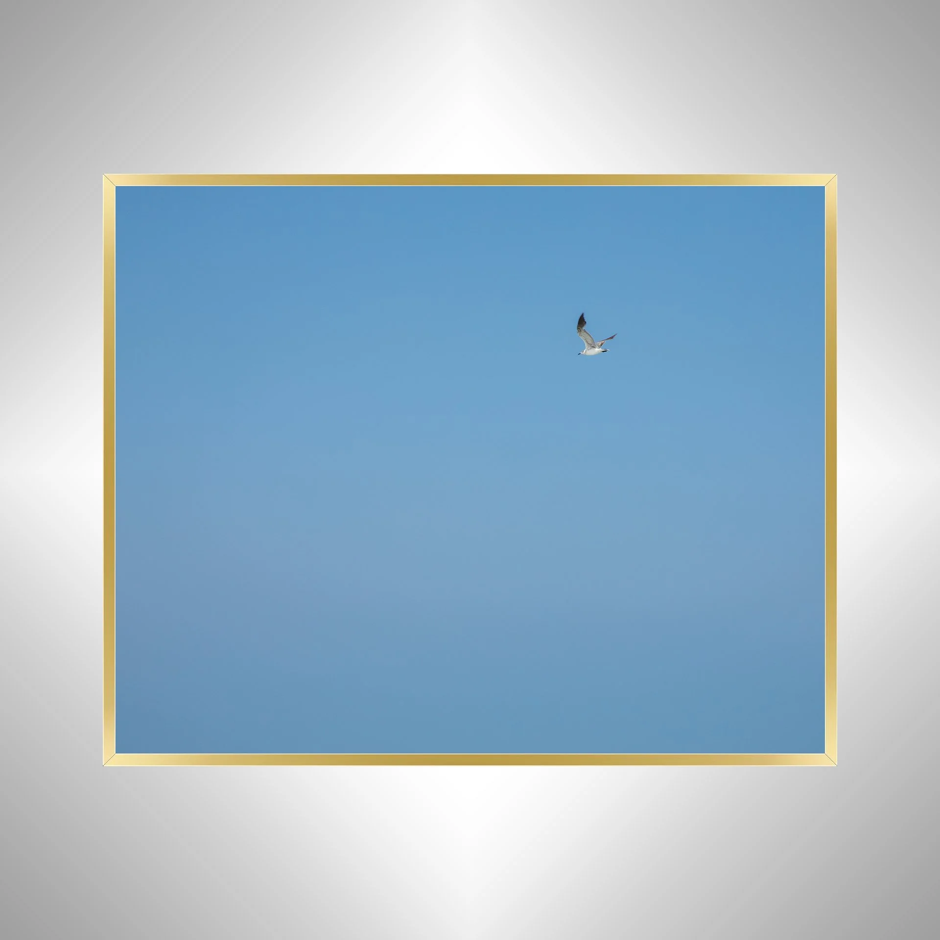 1:10 Blue Sky Seagull- Gikd.jpg