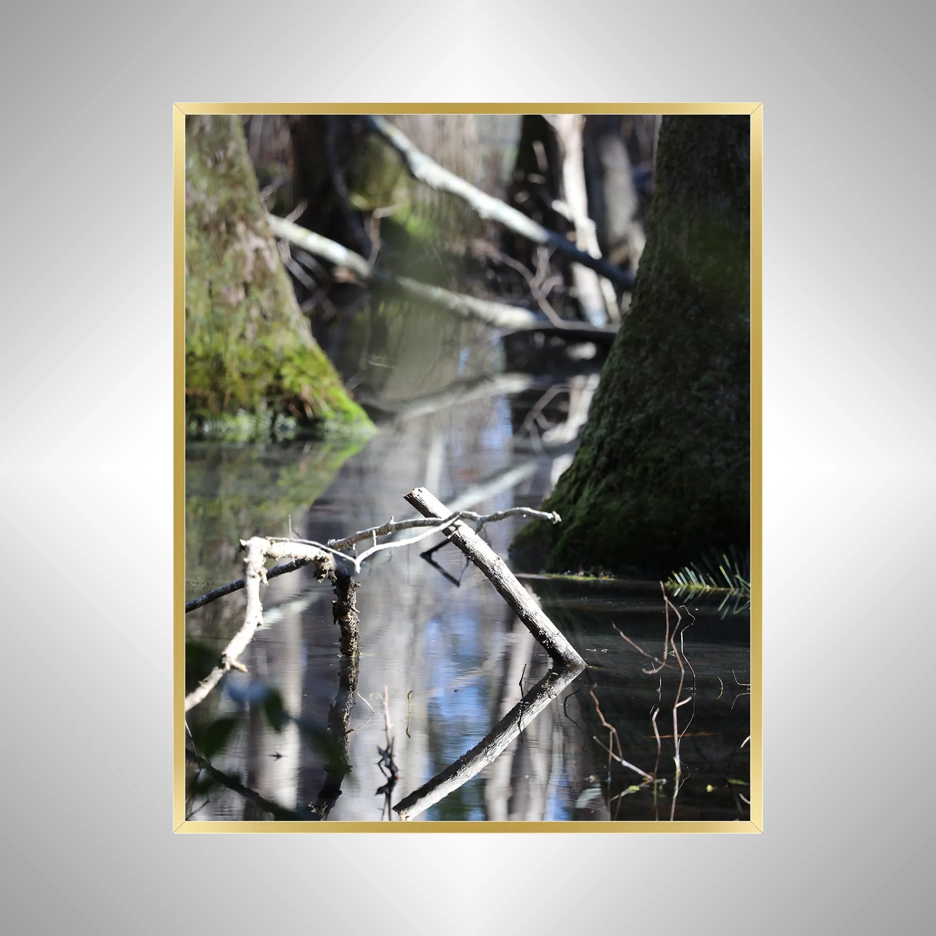 1:1 Stick Reflection in Tree Pond at Seashore State Park- Gold.jpg