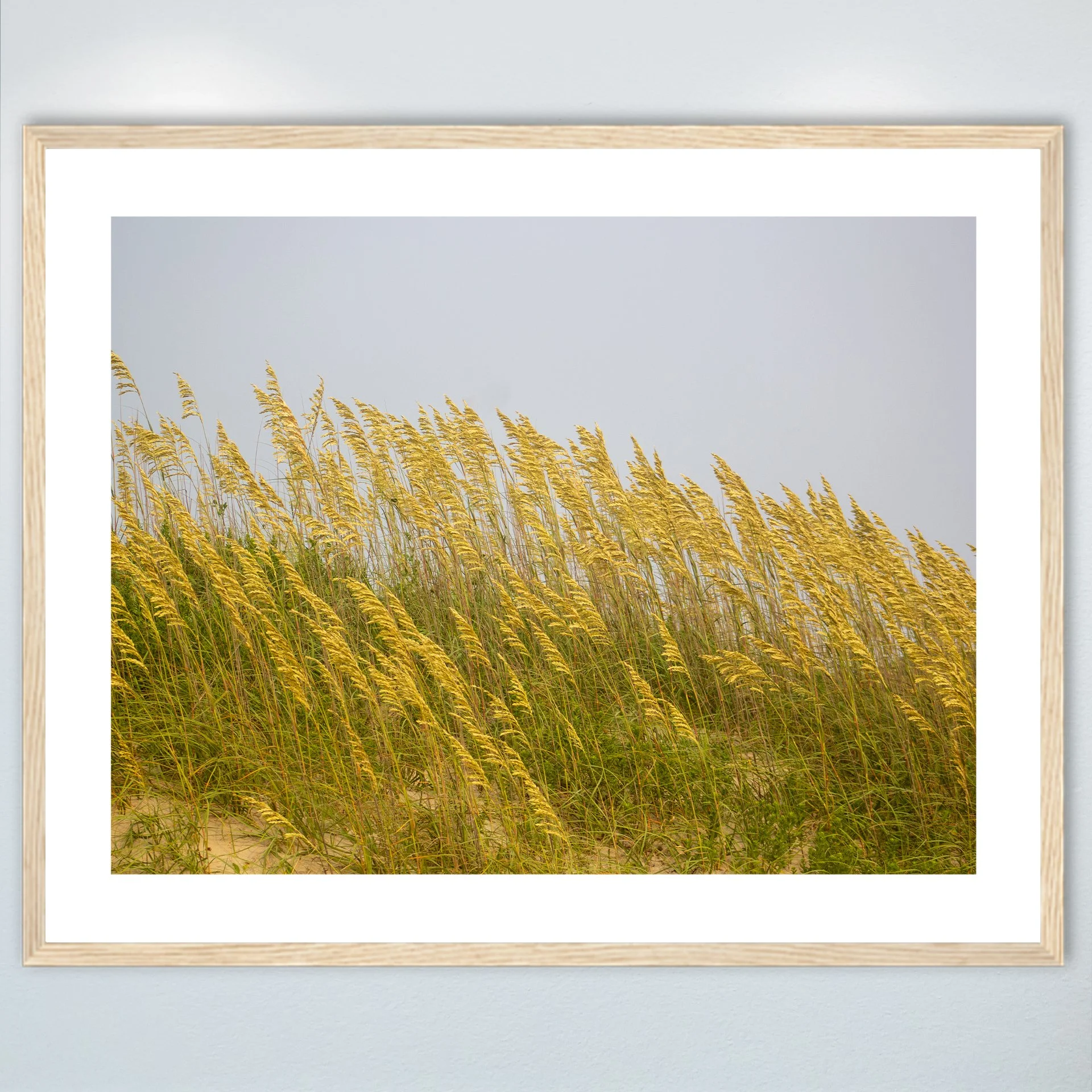 1:1 Rodanthe Dune Oats (Landscape)- Wood w: Border.jpg
