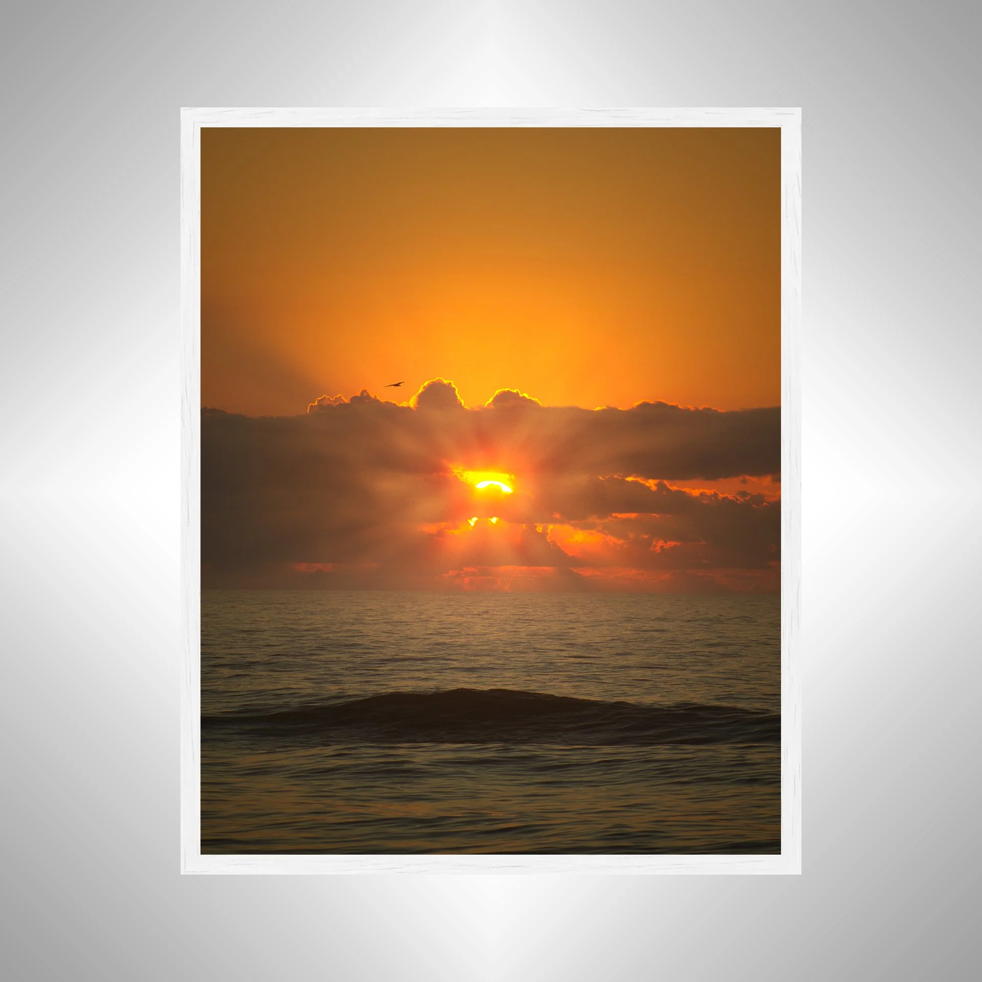 1:1 Sea + Gull Sunrise Flare- White.jpg